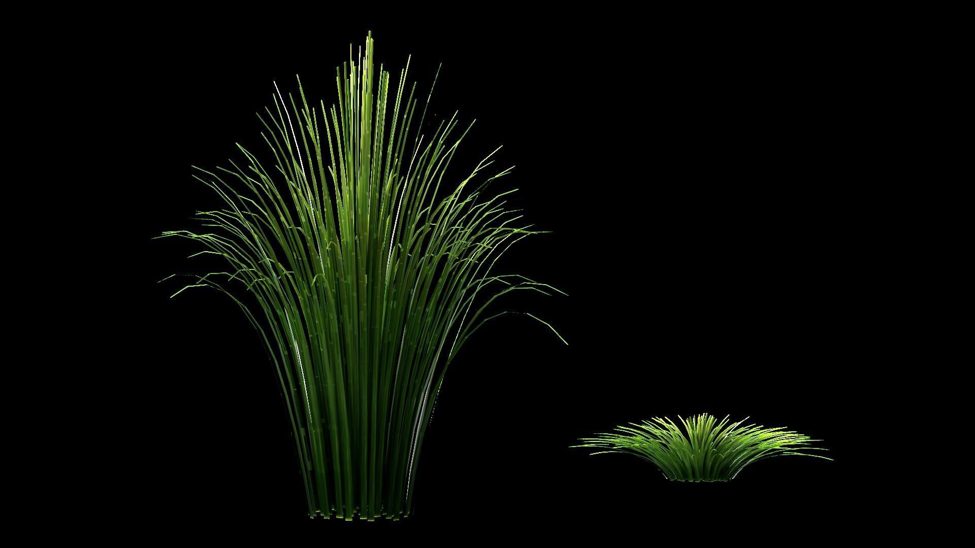 Underwater Plants Collection Low-poly 3D model_62