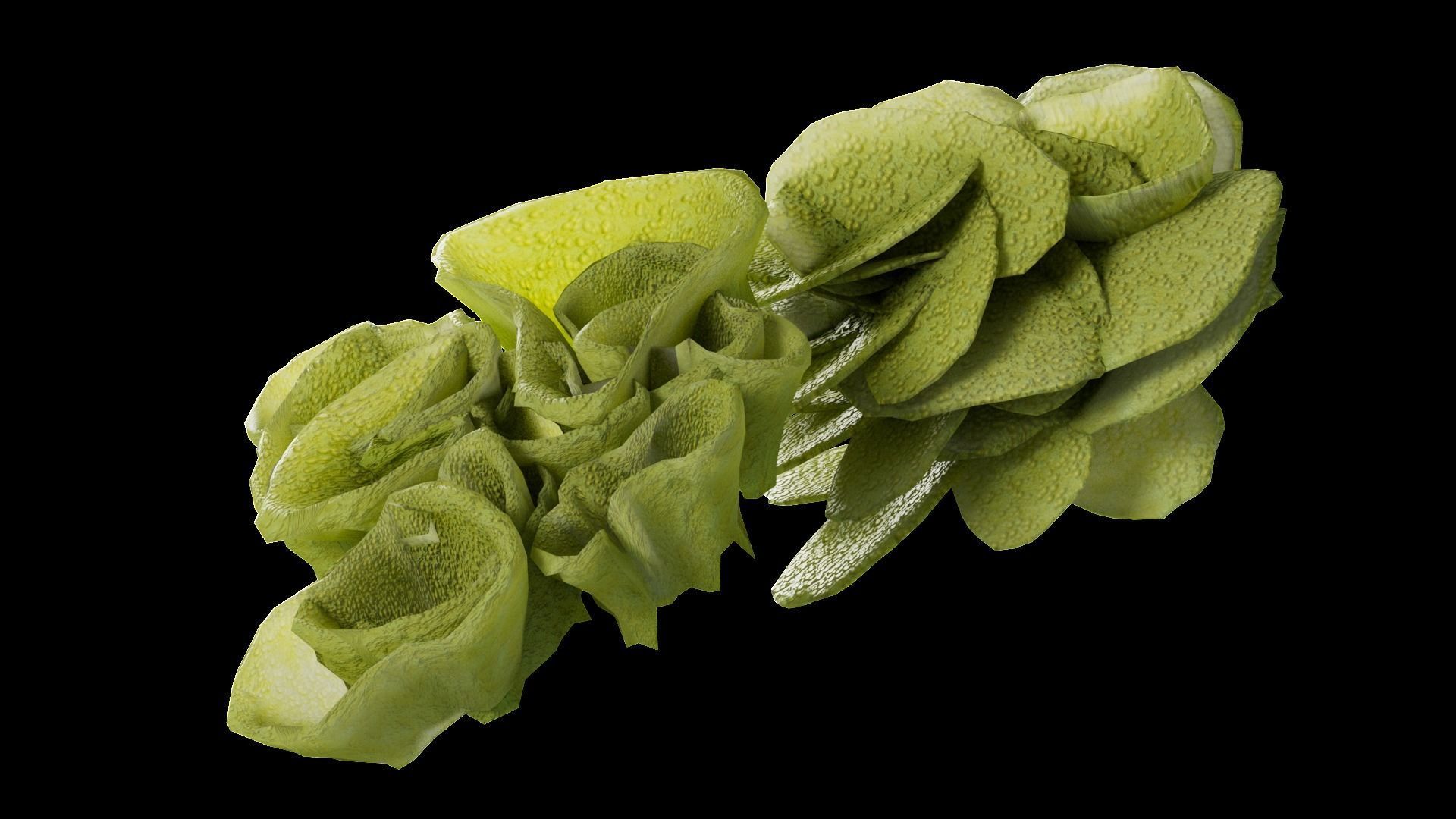 Underwater Plants Collection Low-poly 3D model_57