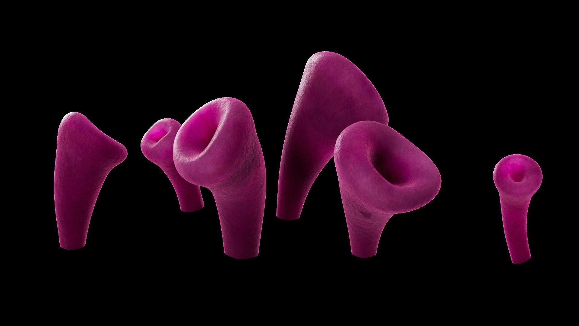 Underwater Plants Collection Low-poly 3D model_13