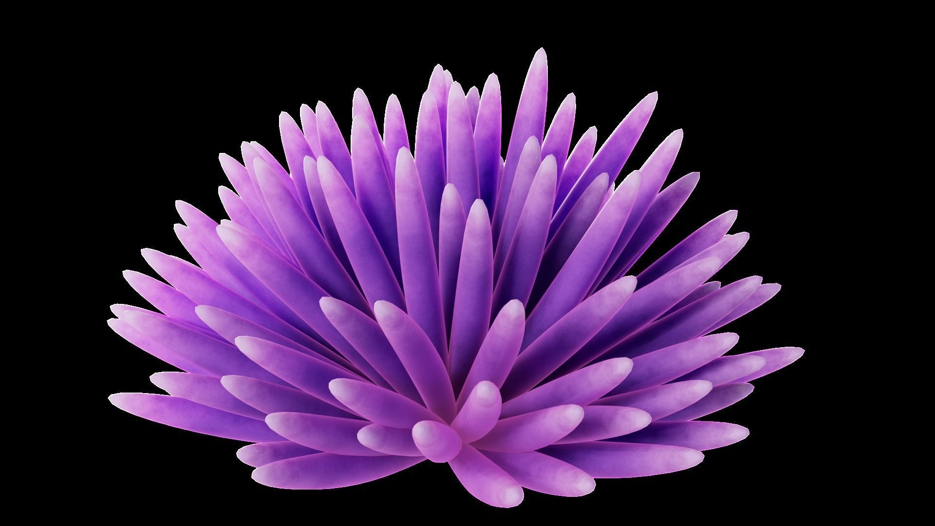 Underwater Plants Collection Low-poly 3D model_23