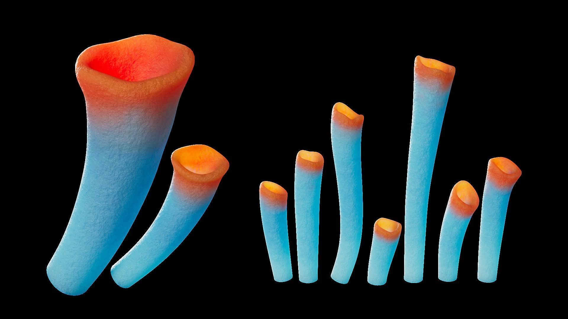 Underwater Plants Collection Low-poly 3D model_8