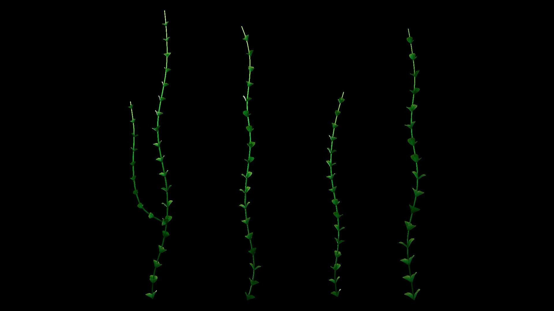 Underwater Plants Collection Low-poly 3D model_28