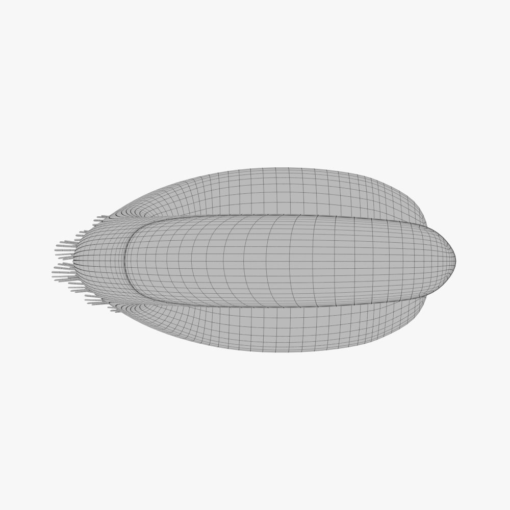 Small Brush 3D model_4