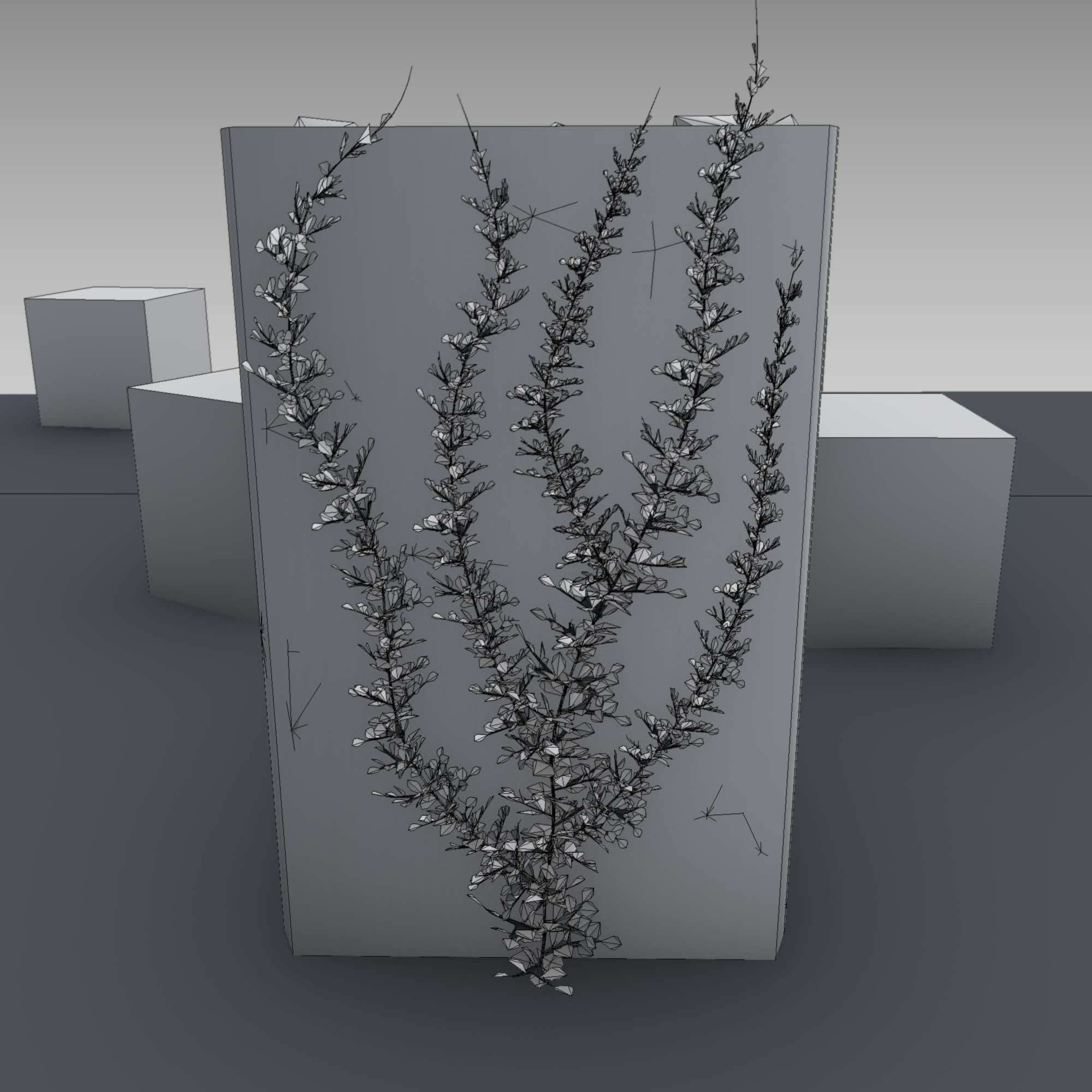 Ivy Vine on Gabion Wall - Version 2 Low-poly 3D model_4