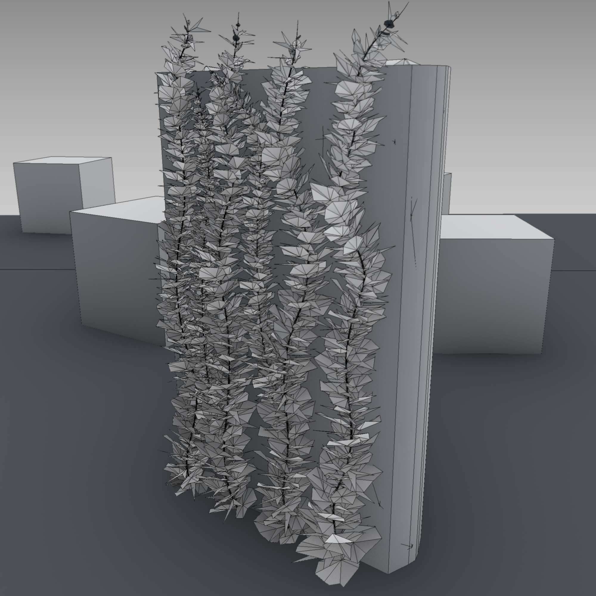 Wild Wine Vine - Autumn - on Gabion Wall - Version 1 Low-poly 3D model_31