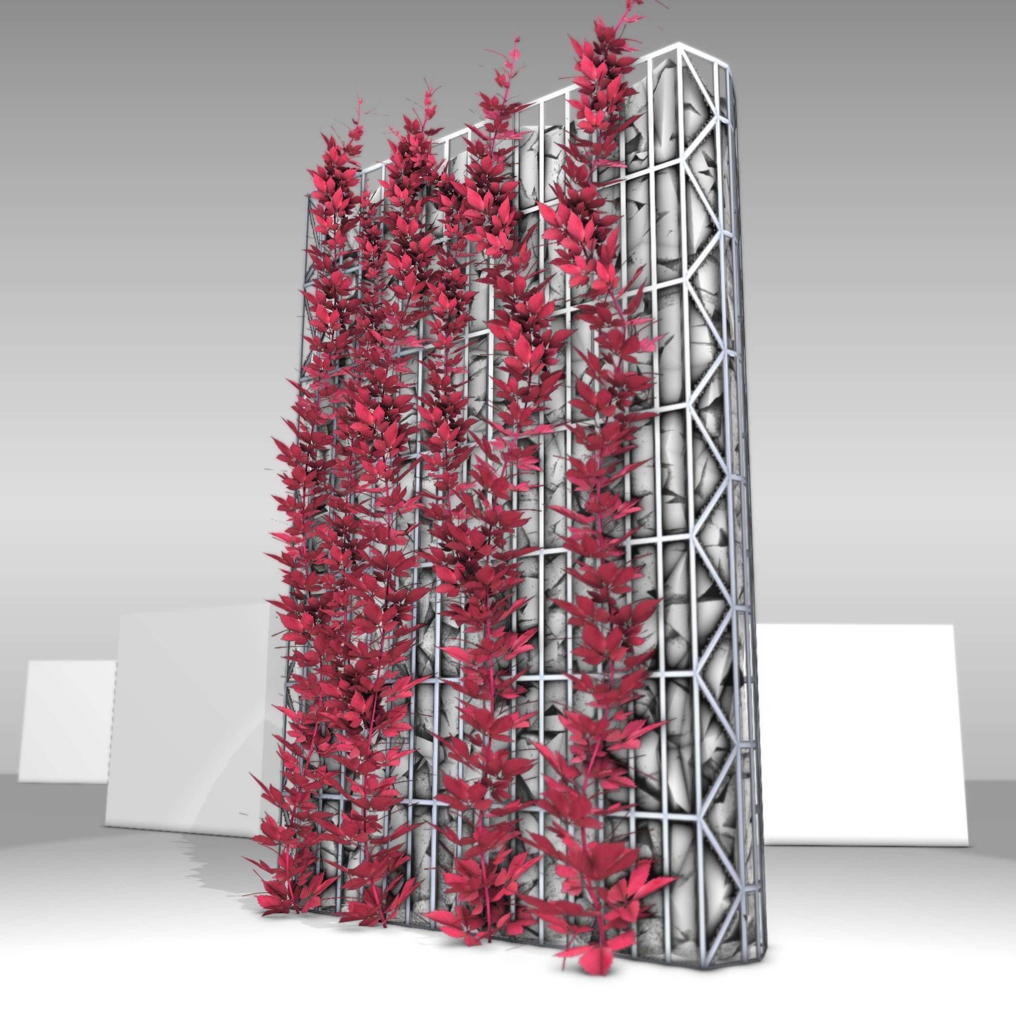 Wild Wine Vine - Autumn - on Gabion Wall - Version 1 Low-poly 3D model_6