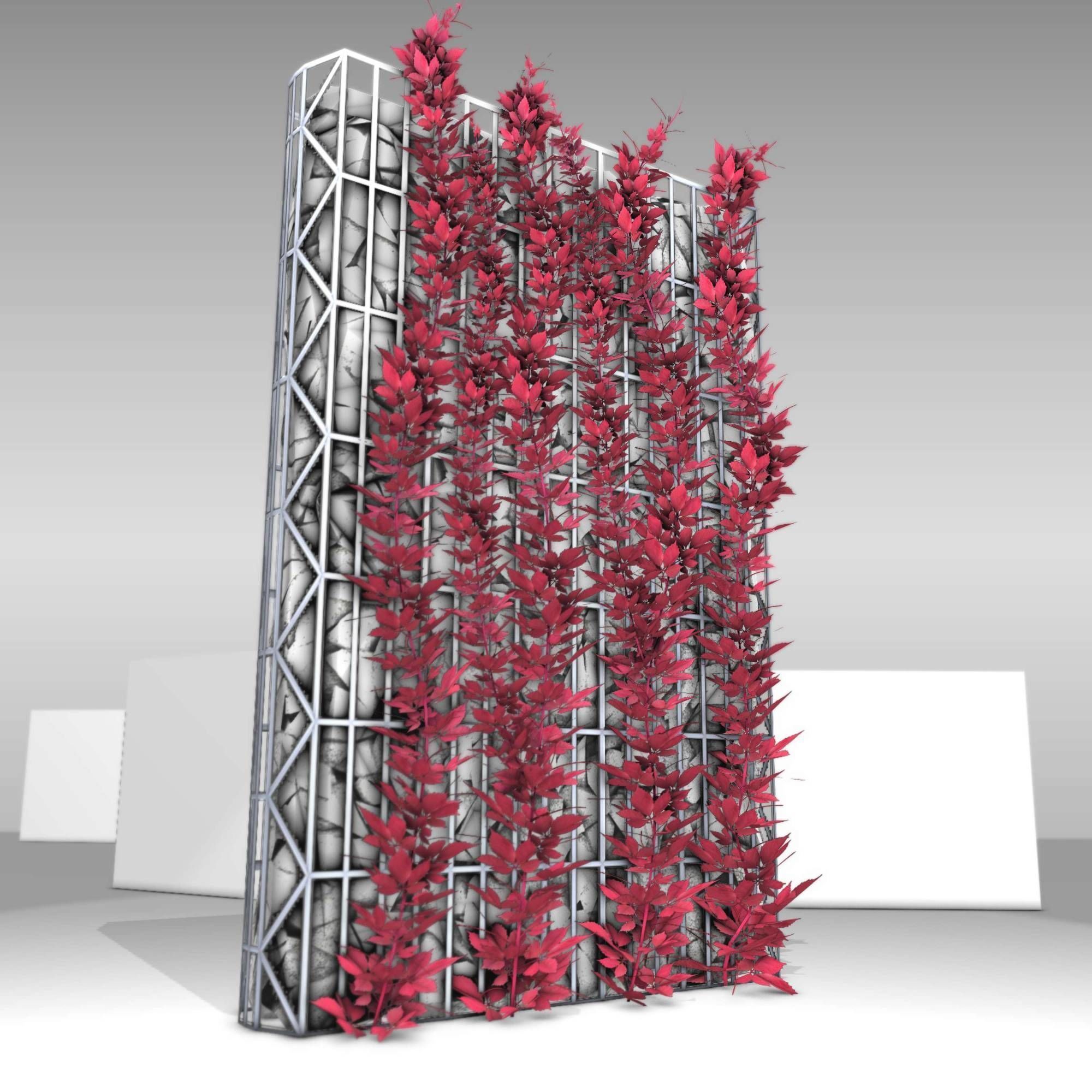 Wild Wine Vine - Autumn - on Gabion Wall - Version 1 Low-poly 3D model_11