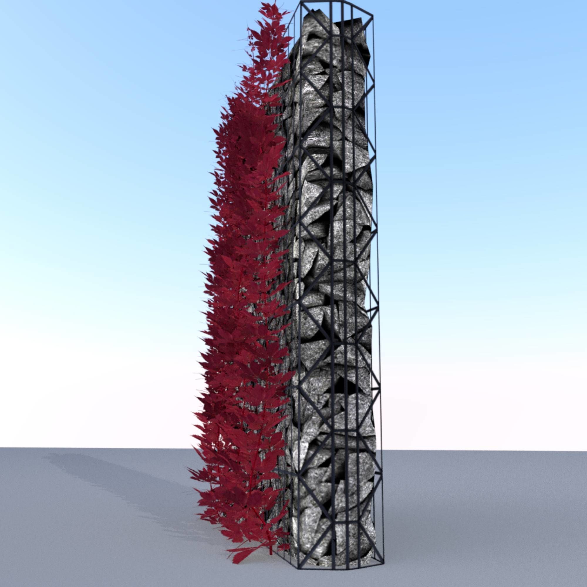 Wild Wine Vine - Autumn - on Gabion Wall - Version 1 Low-poly 3D model_30