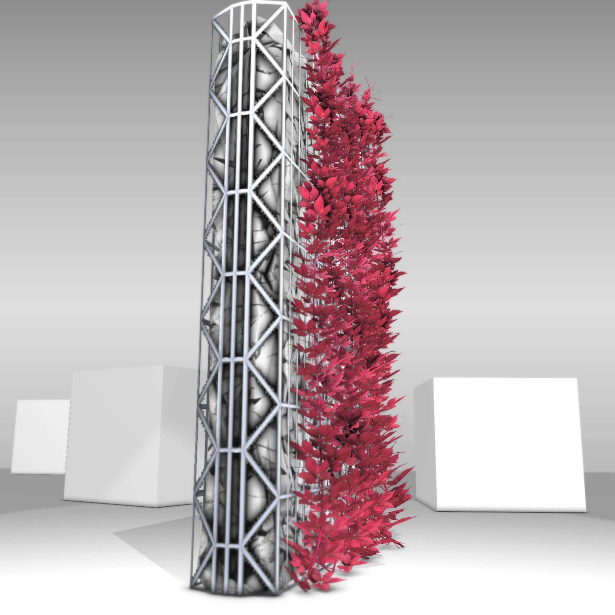 Wild Wine Vine - Autumn - on Gabion Wall - Version 1 Low-poly 3D model_12