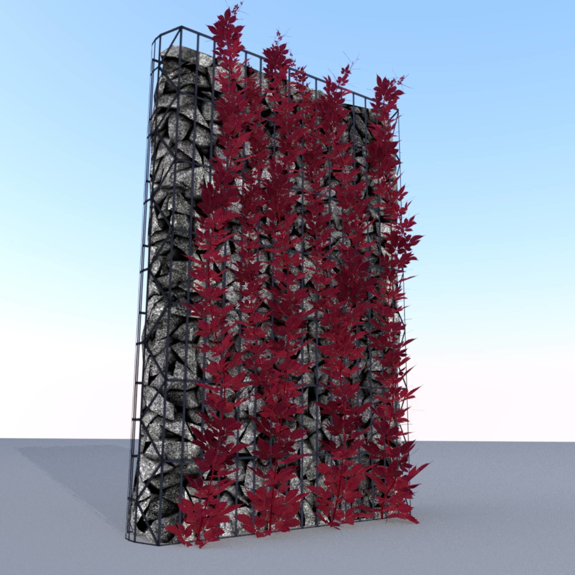Wild Wine Vine - Autumn - on Gabion Wall - Version 1 Low-poly 3D model_7