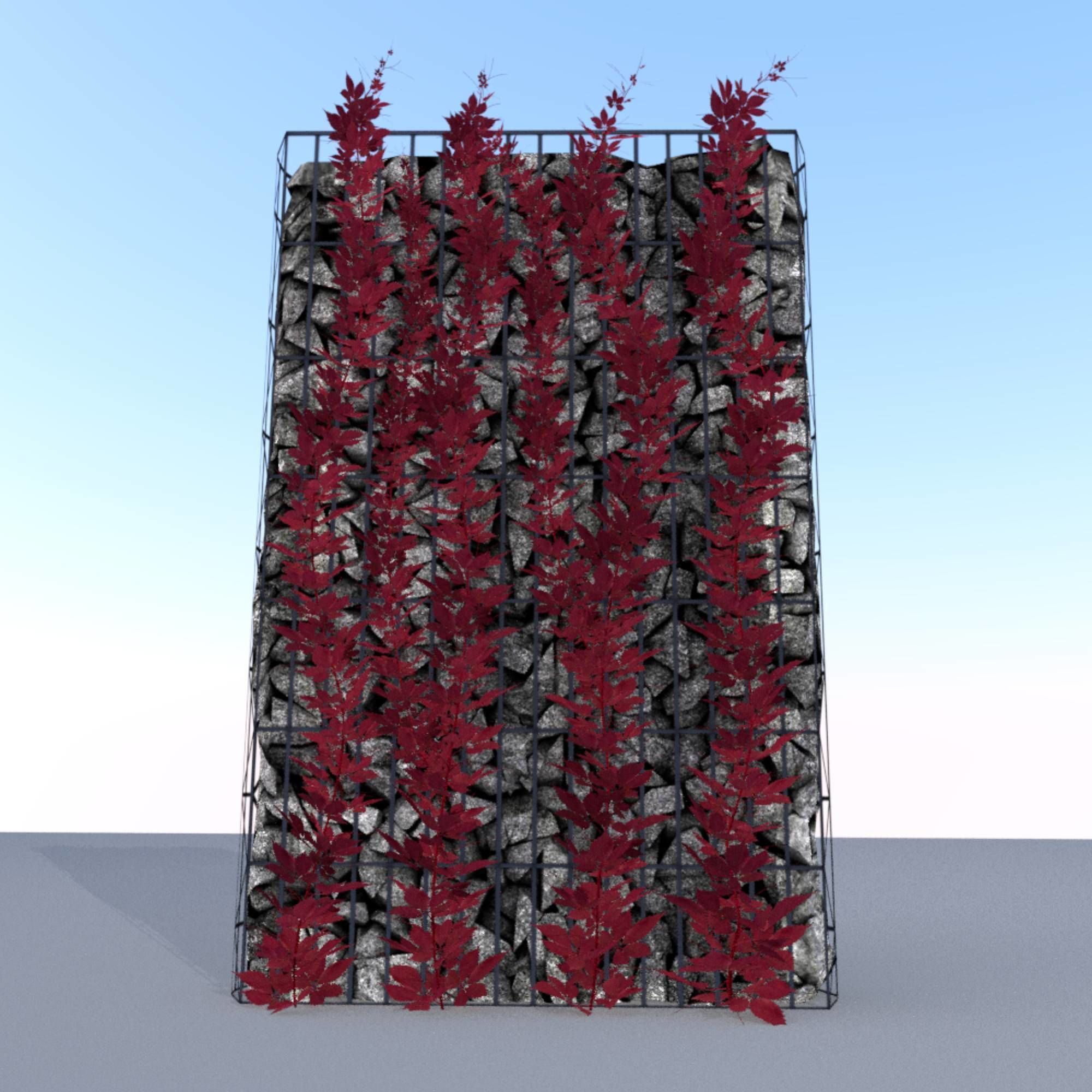Wild Wine Vine - Autumn - on Gabion Wall - Version 1 Low-poly 3D model_5