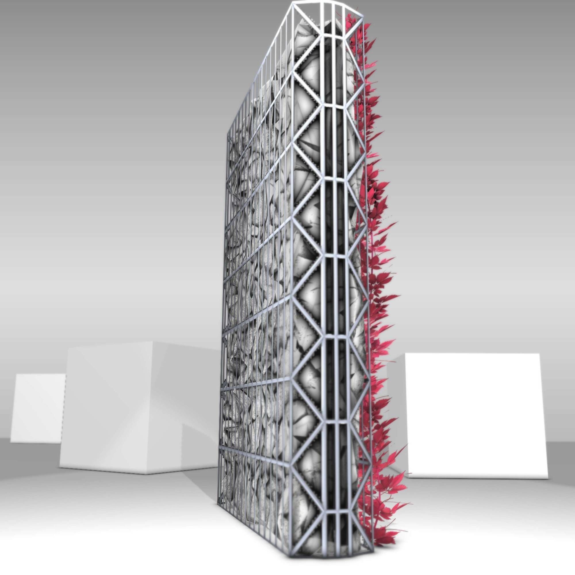 Wild Wine Vine - Autumn - on Gabion Wall - Version 1 Low-poly 3D model_16