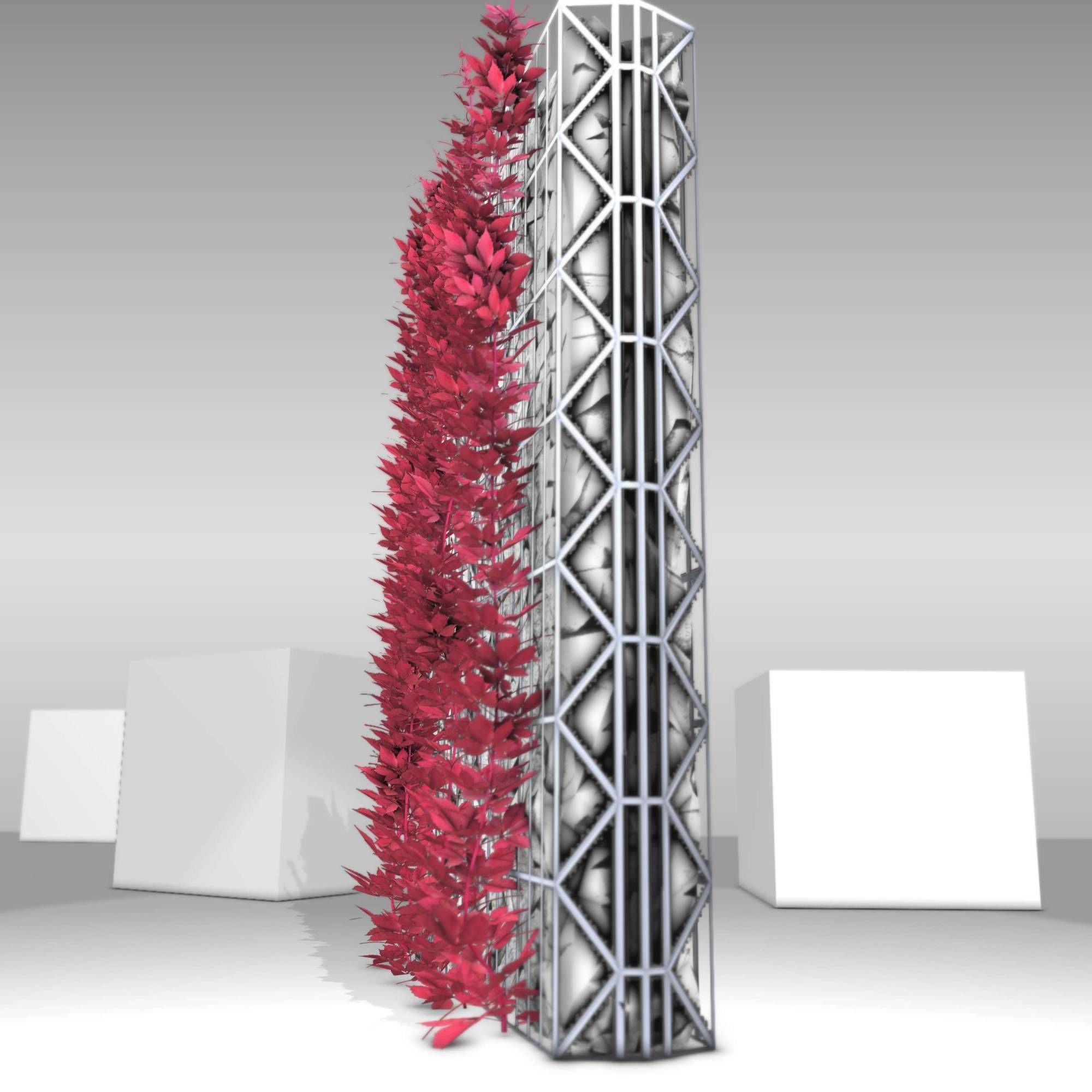 Wild Wine Vine - Autumn - on Gabion Wall - Version 1 Low-poly 3D model_29