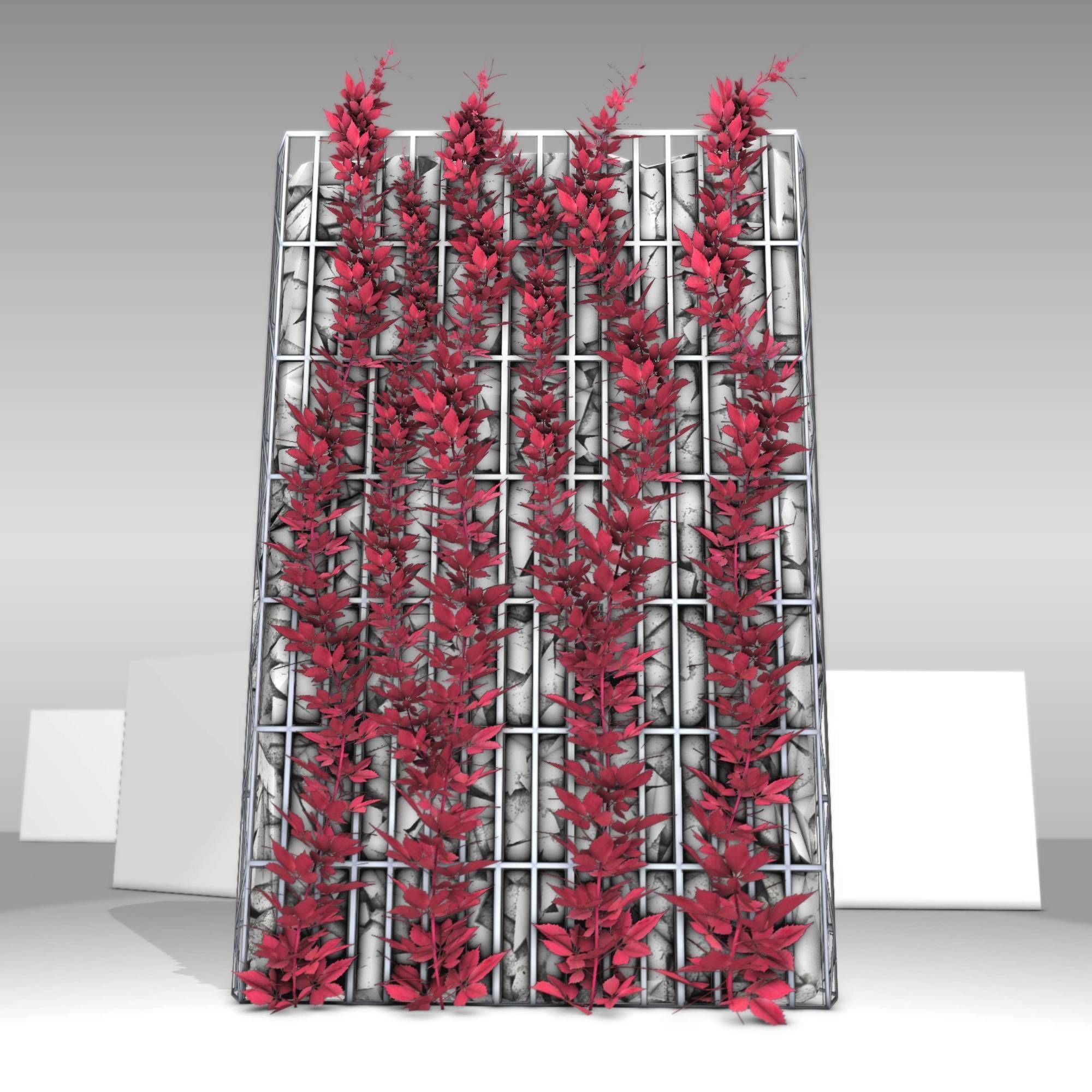 Wild Wine Vine - Autumn - on Gabion Wall - Version 1 Low-poly 3D model_3