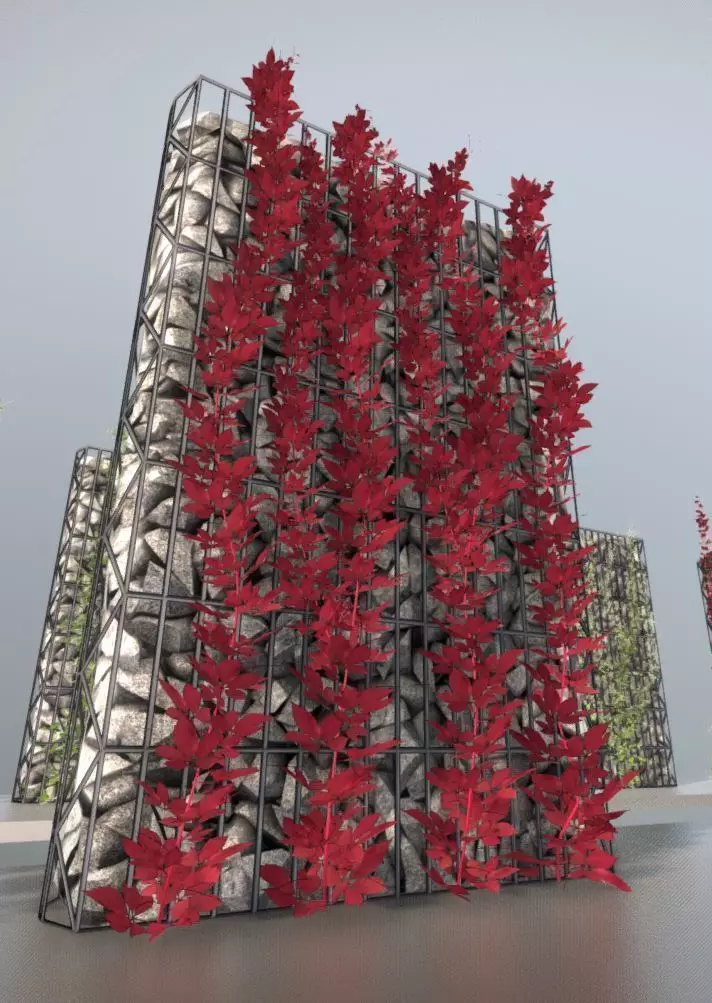Wild Wine Vine - Autumn - on Gabion Wall - Version 1 Low-poly 3D model_0