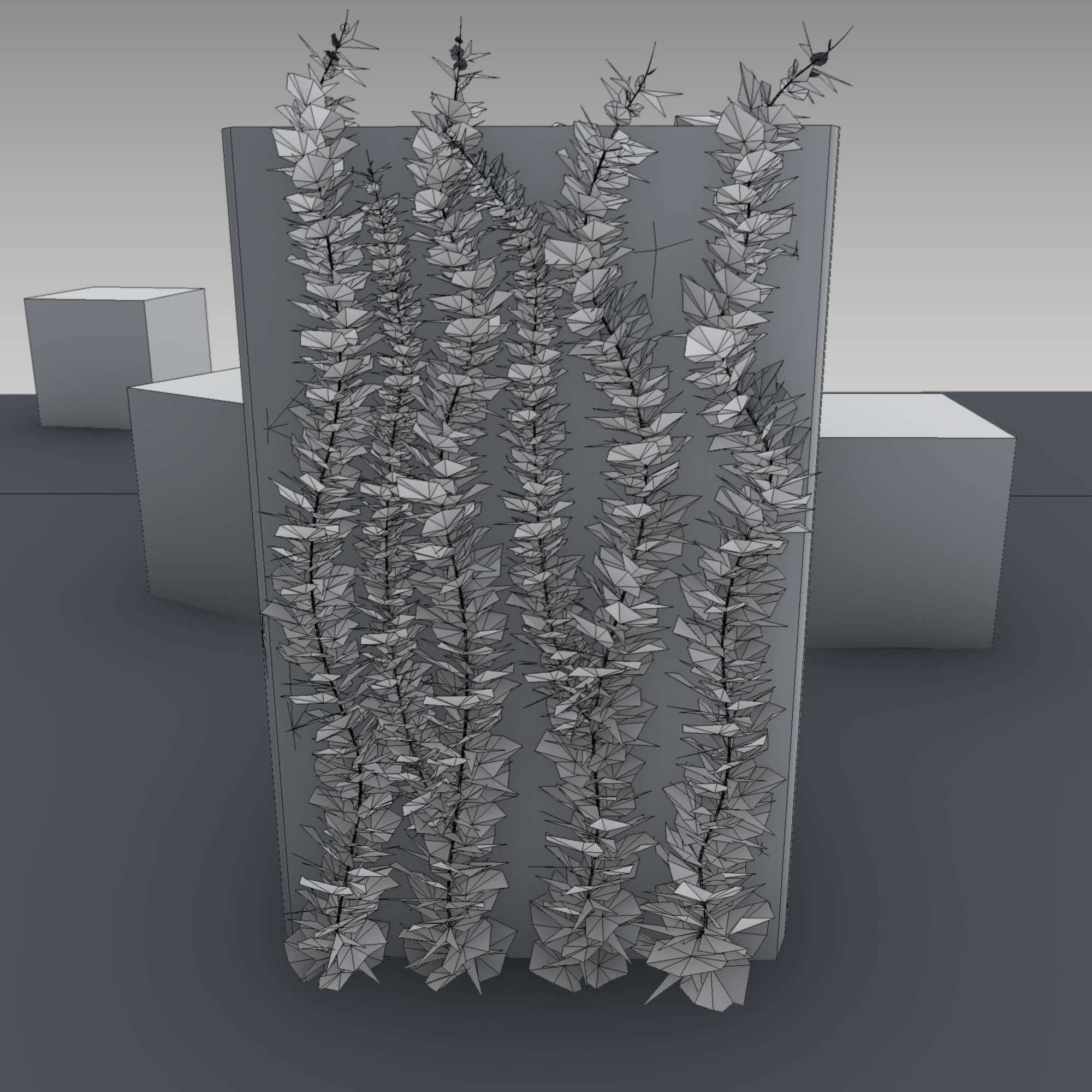 Wild Wine Vine - Autumn - on Gabion Wall - Version 1 Low-poly 3D model_4
