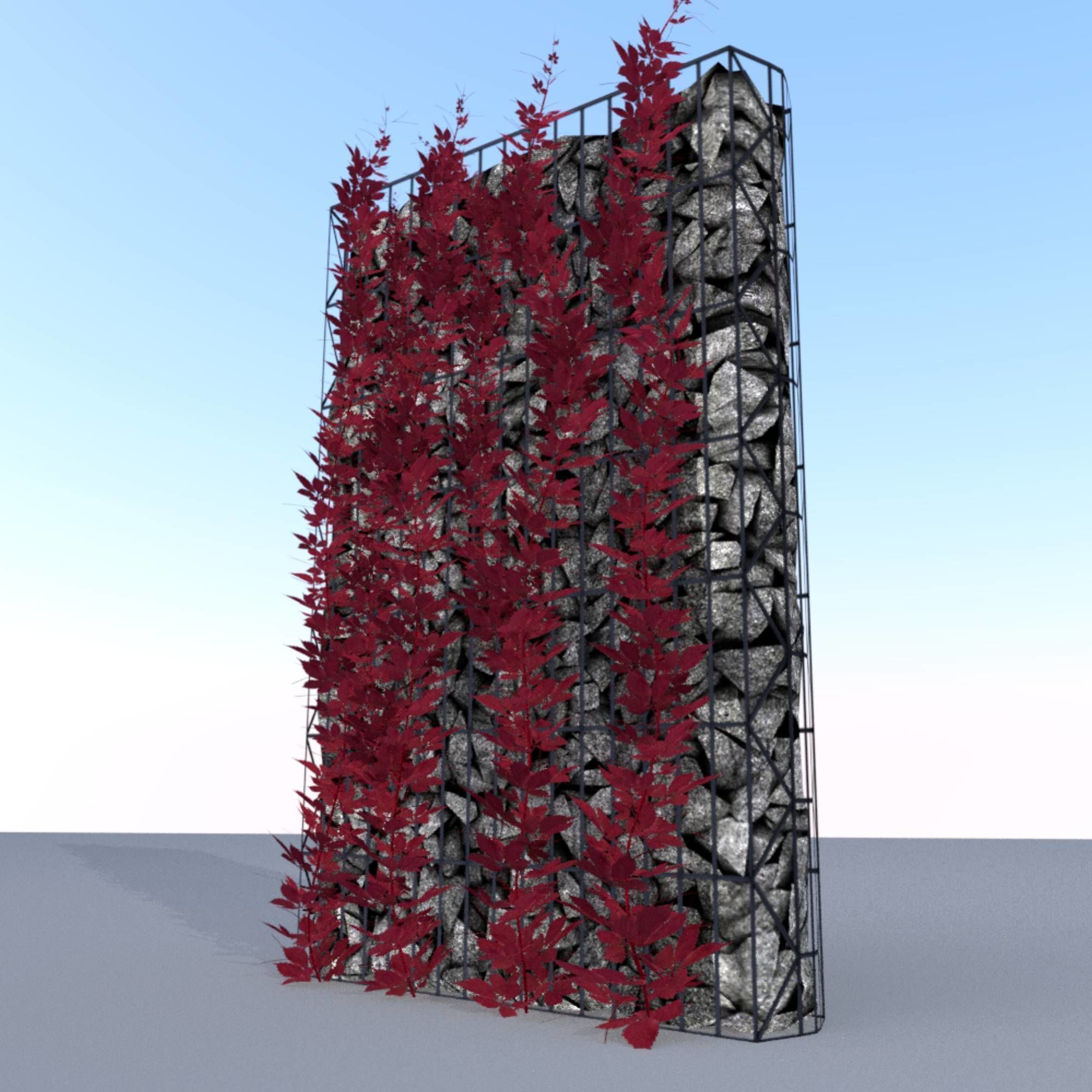 Wild Wine Vine - Autumn - on Gabion Wall - Version 1 Low-poly 3D model_32
