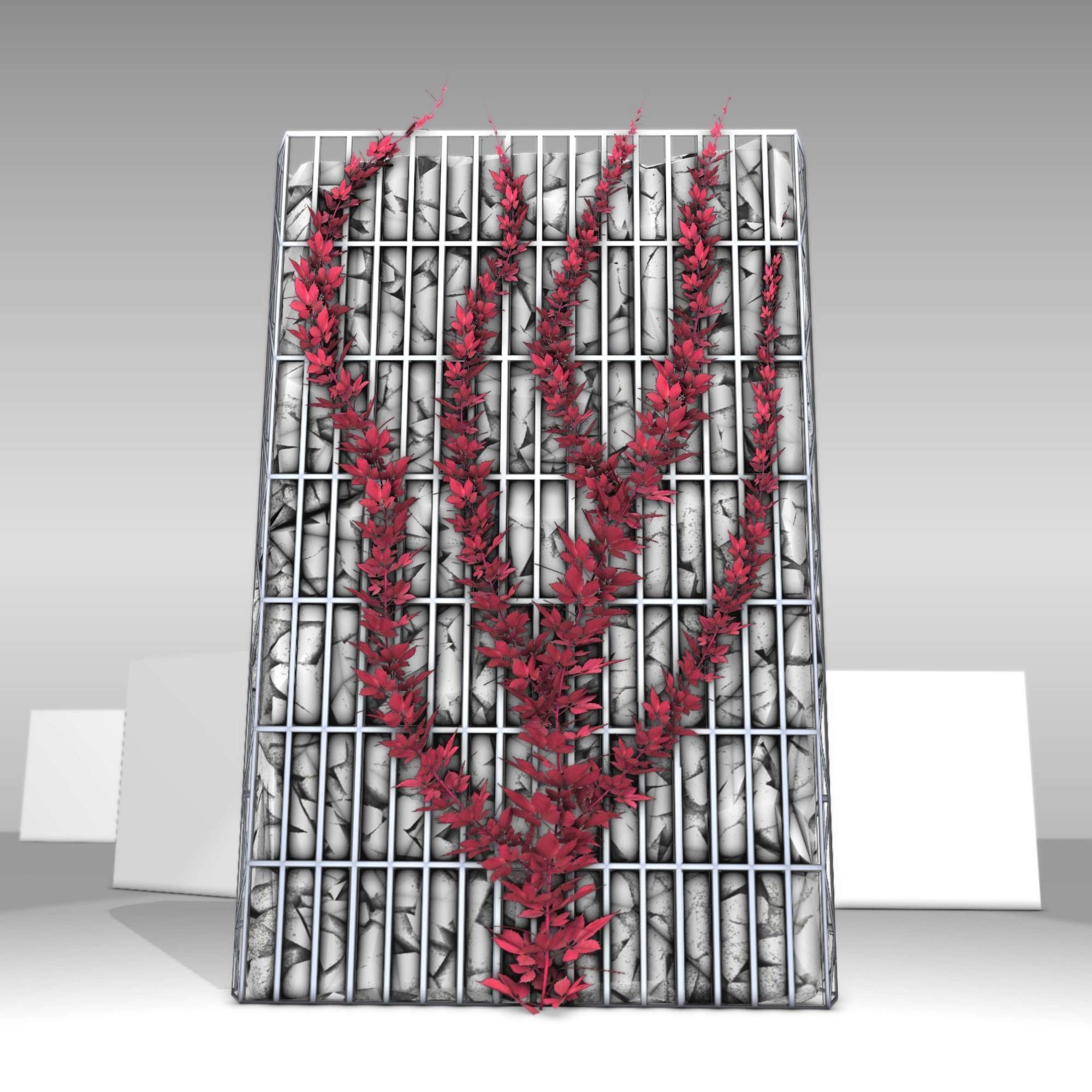 Wild Wine Vine - Autumn - on Gabion Wall - Version 2 Low-poly 3D model_2