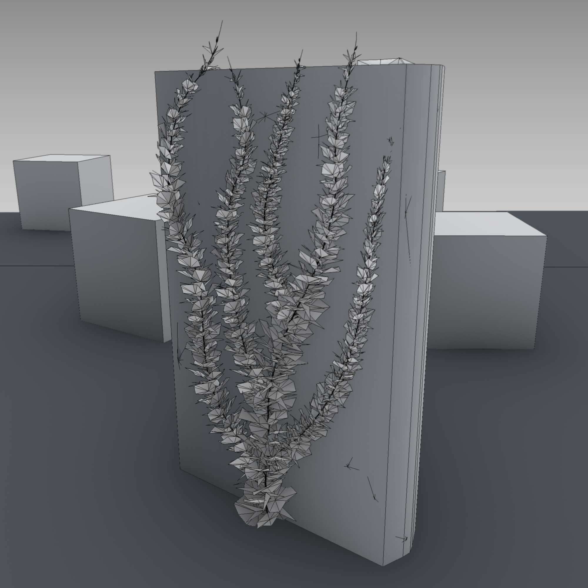 Wild Wine Vine - Autumn - on Gabion Wall - Version 2 Low-poly 3D model_25