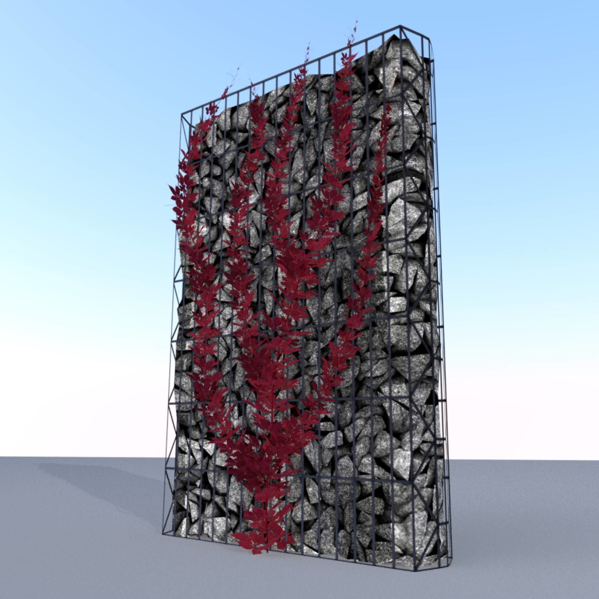 Wild Wine Vine - Autumn - on Gabion Wall - Version 2 Low-poly 3D model_29