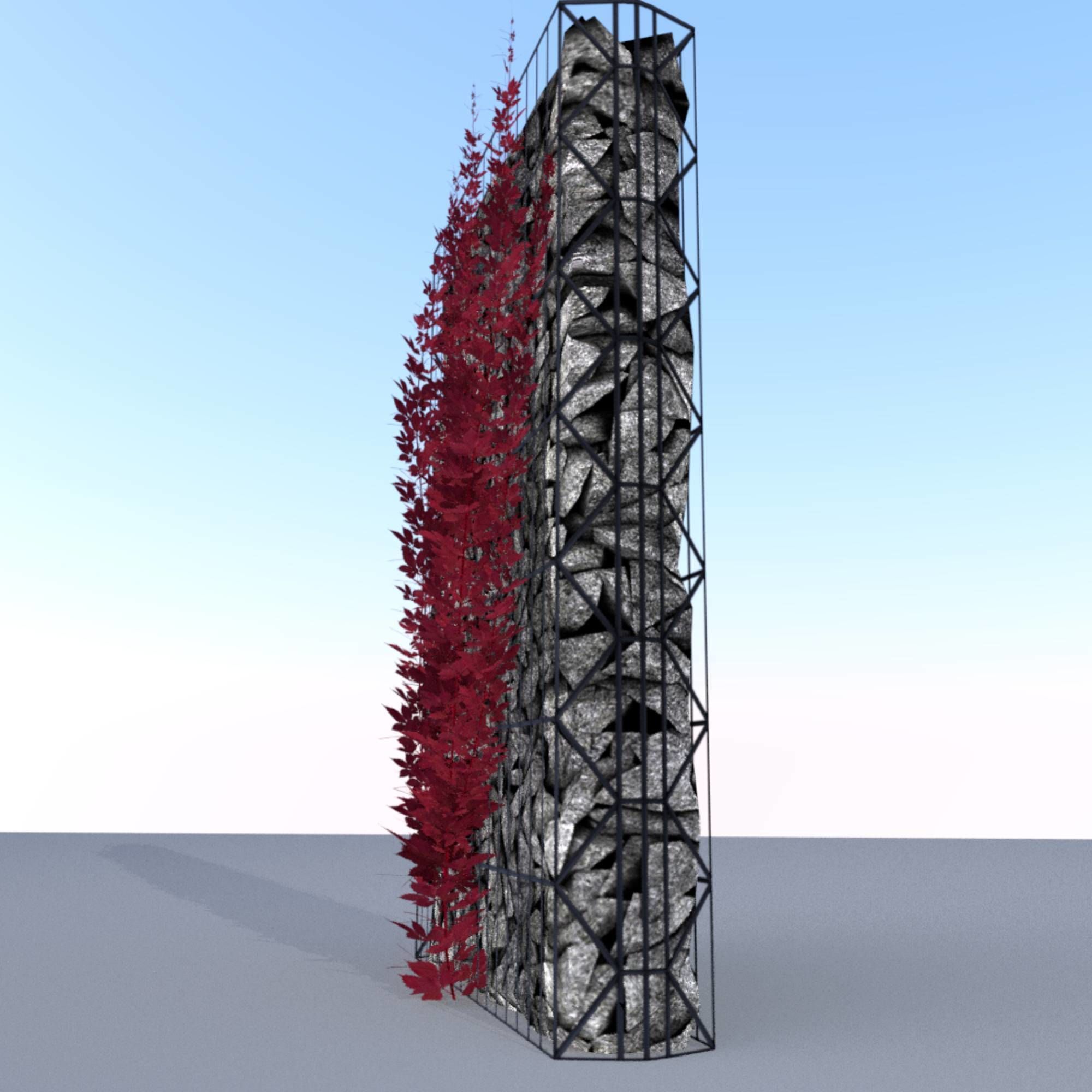 Wild Wine Vine - Autumn - on Gabion Wall - Version 2 Low-poly 3D model_21