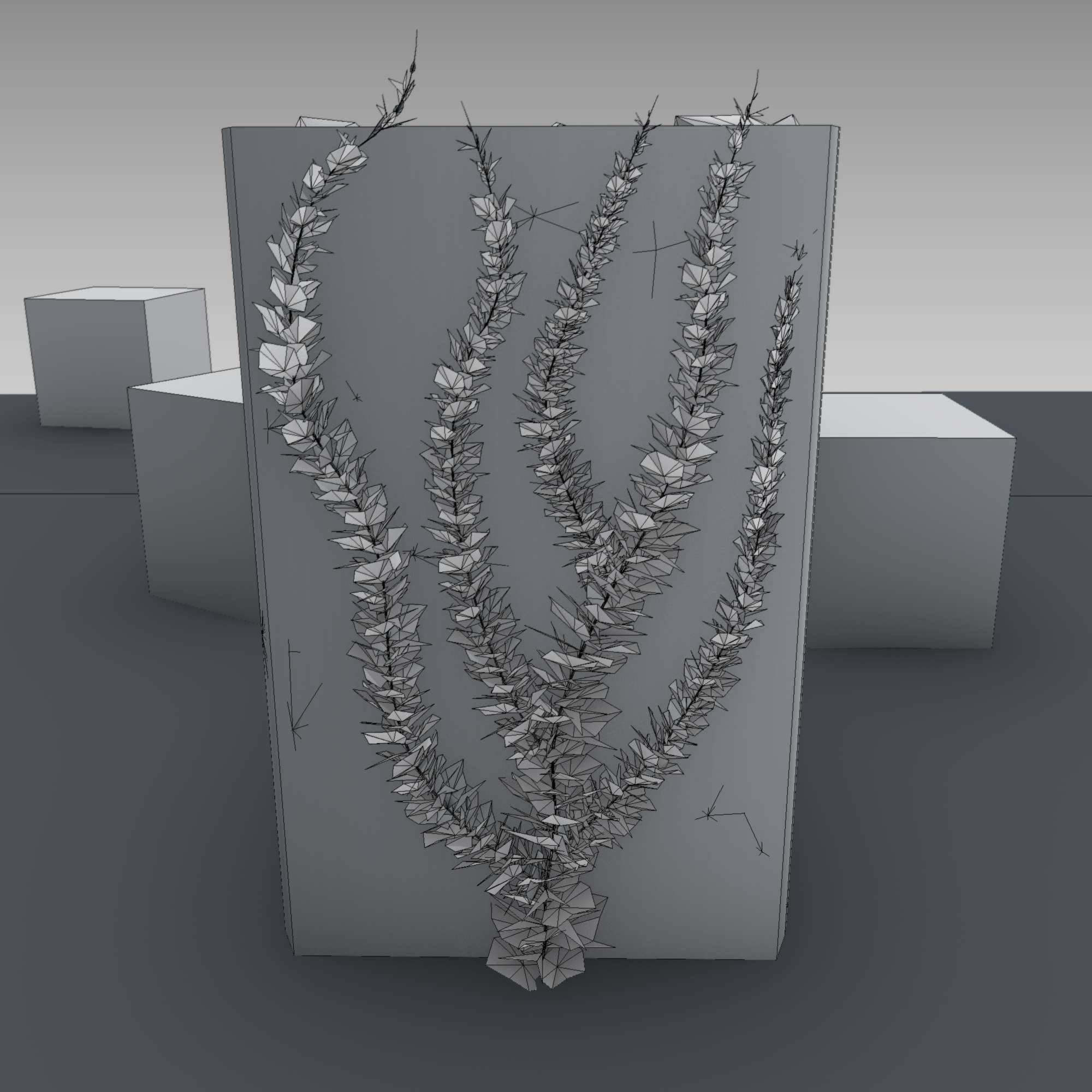 Wild Wine Vine - Autumn - on Gabion Wall - Version 2 Low-poly 3D model_3