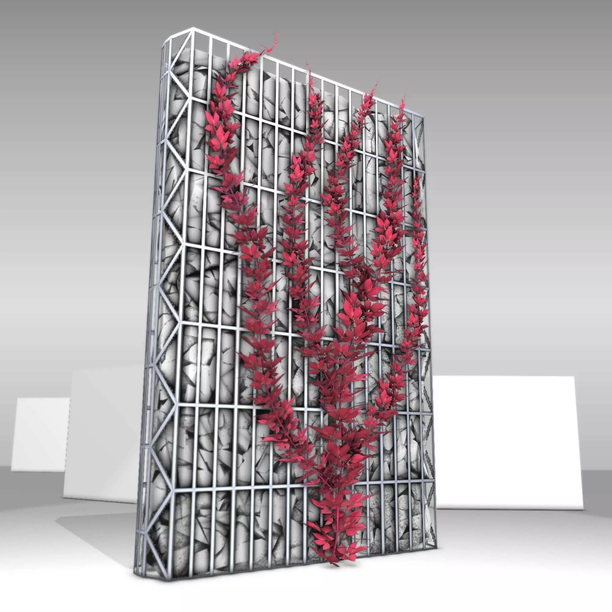 Wild Wine Vine - Autumn - on Gabion Wall - Version 2 Low-poly 3D model_0