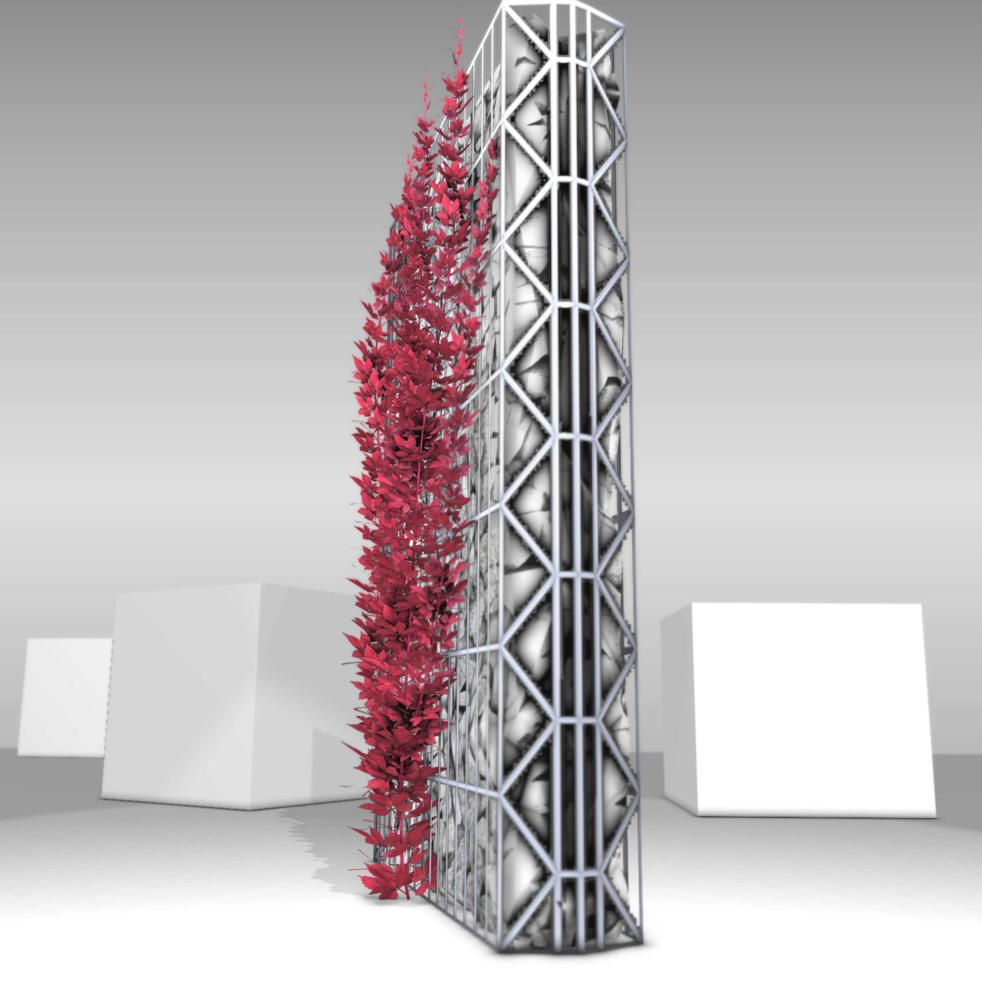 Wild Wine Vine - Autumn - on Gabion Wall - Version 2 Low-poly 3D model_27