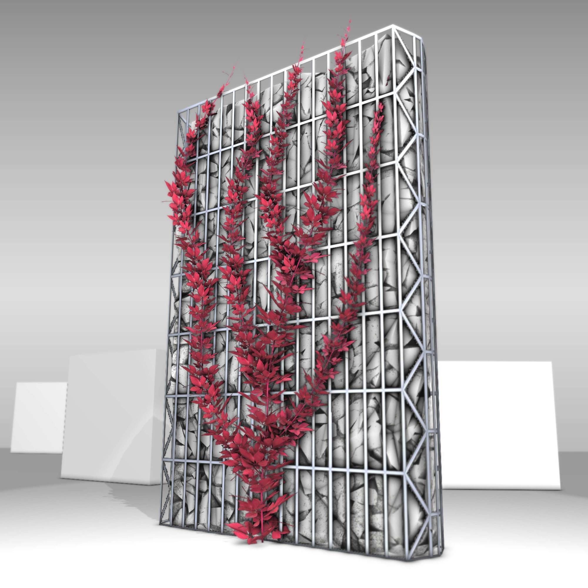 Wild Wine Vine - Autumn - on Gabion Wall - Version 2 Low-poly 3D model_28