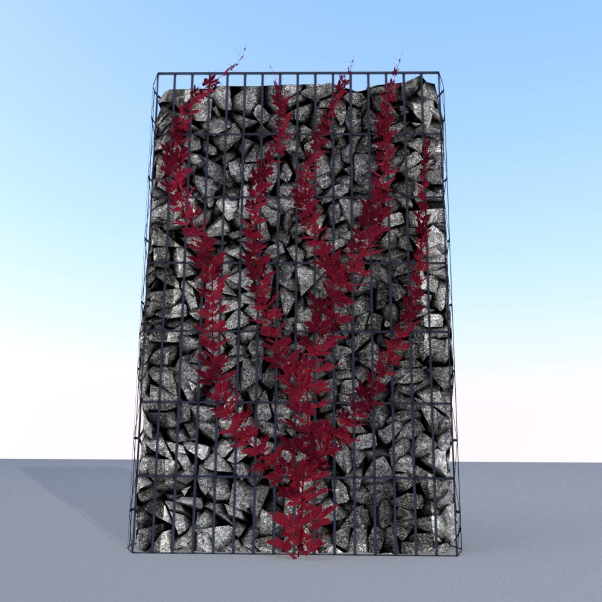 Wild Wine Vine - Autumn - on Gabion Wall - Version 2 Low-poly 3D model_16