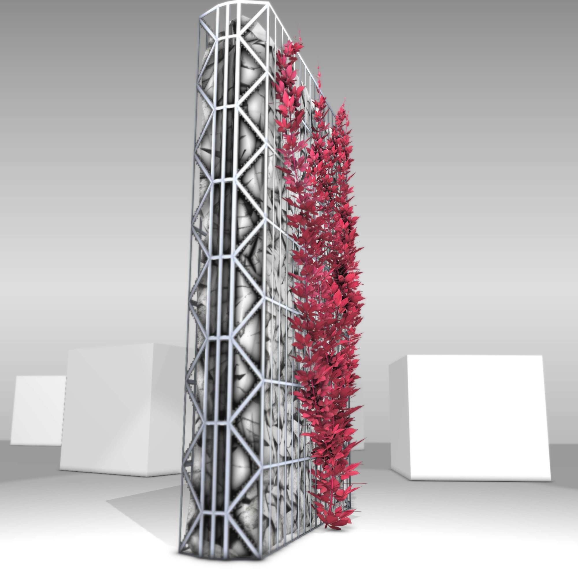 Wild Wine Vine - Autumn - on Gabion Wall - Version 2 Low-poly 3D model_7