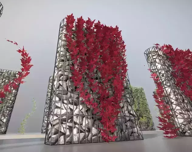 Wild Wine Vine - Autumn - on Gabion Wall - Version 3 Low-poly 3D model