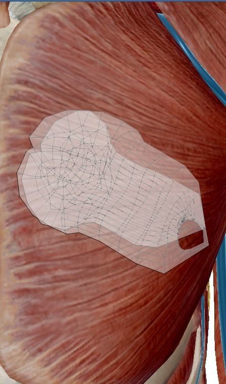 Uterus human 3D model_11