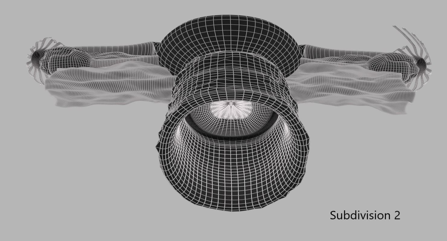 Uterus human 3D model_6