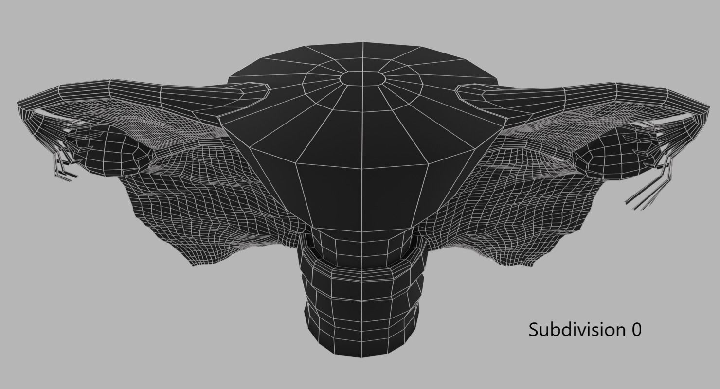Uterus human 3D model_17