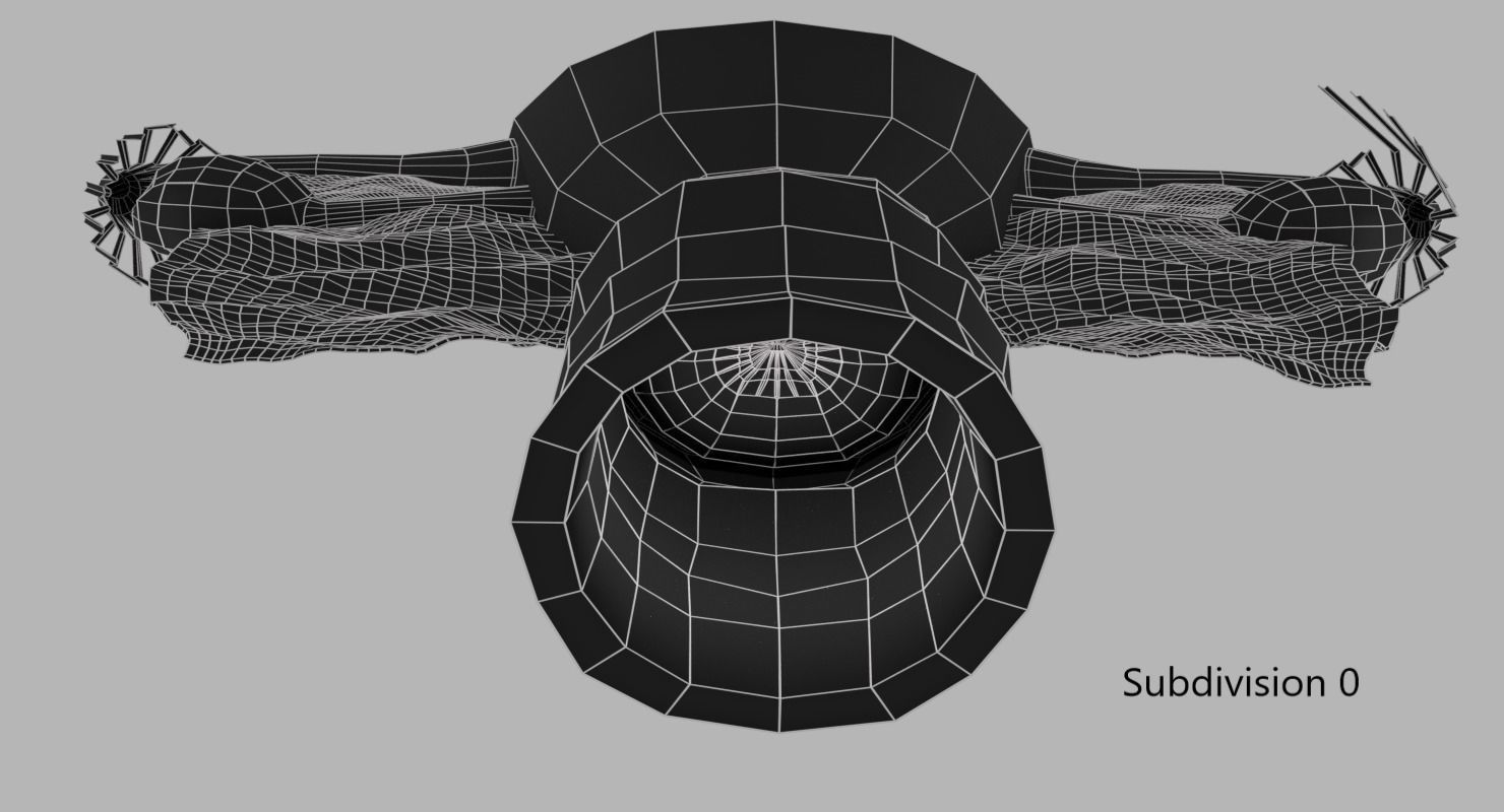 Uterus human 3D model_5