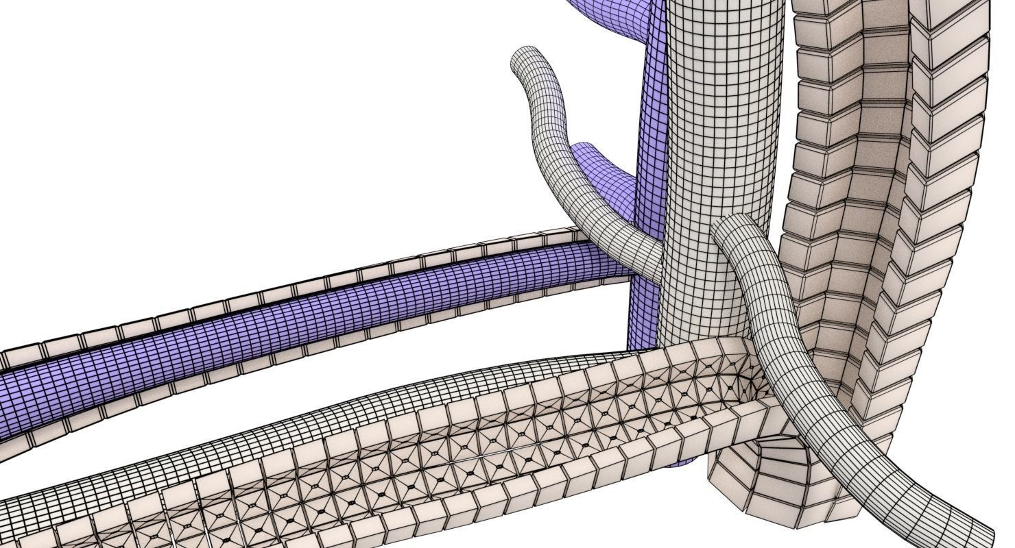 hepatic liver lobule 3D model_10