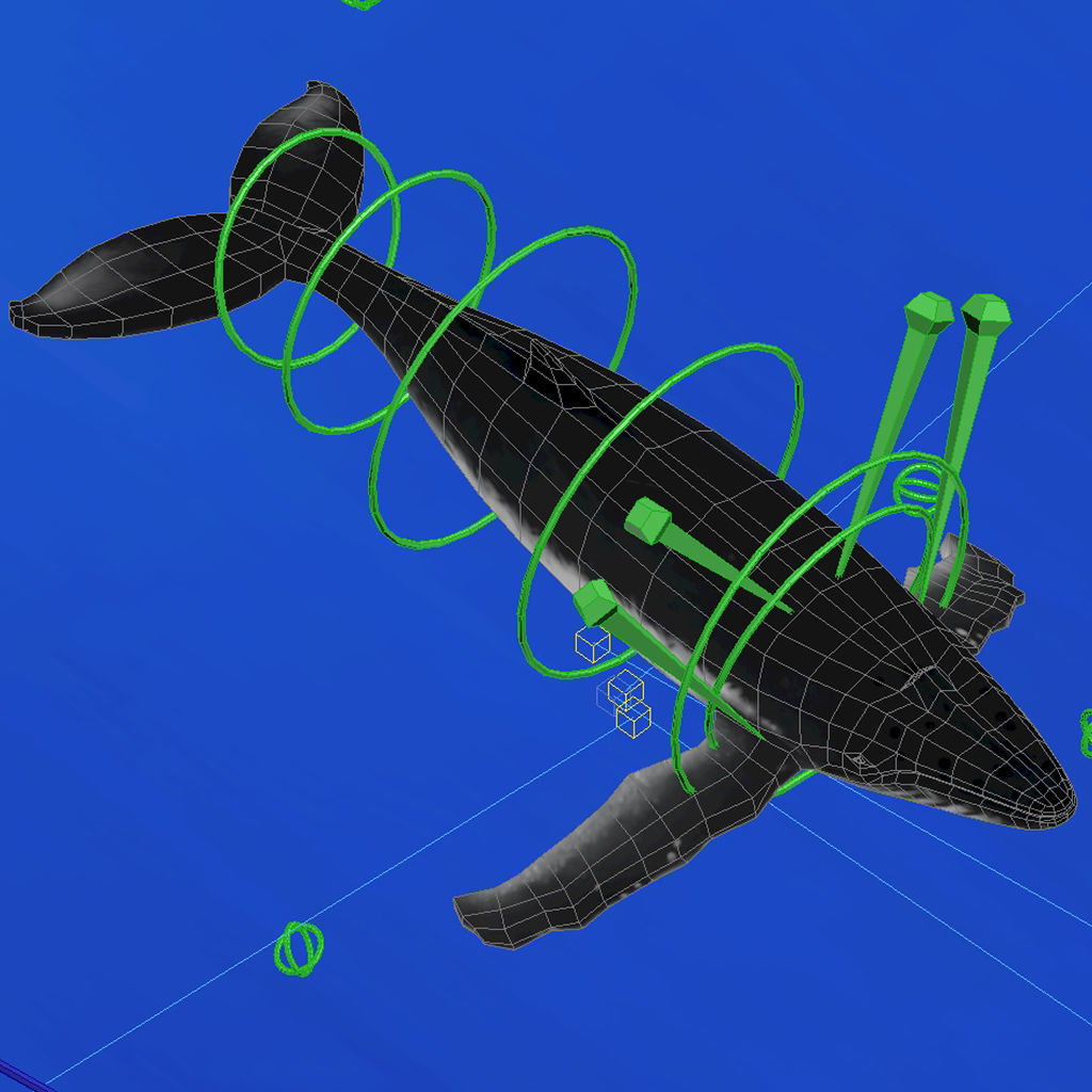 Humpback Whale Low-poly 3D model_9
