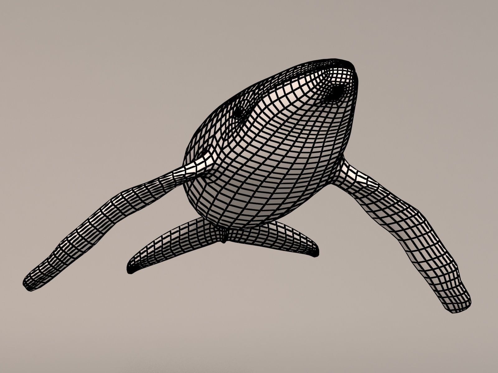 Humpback Whale Low-poly 3D model_13