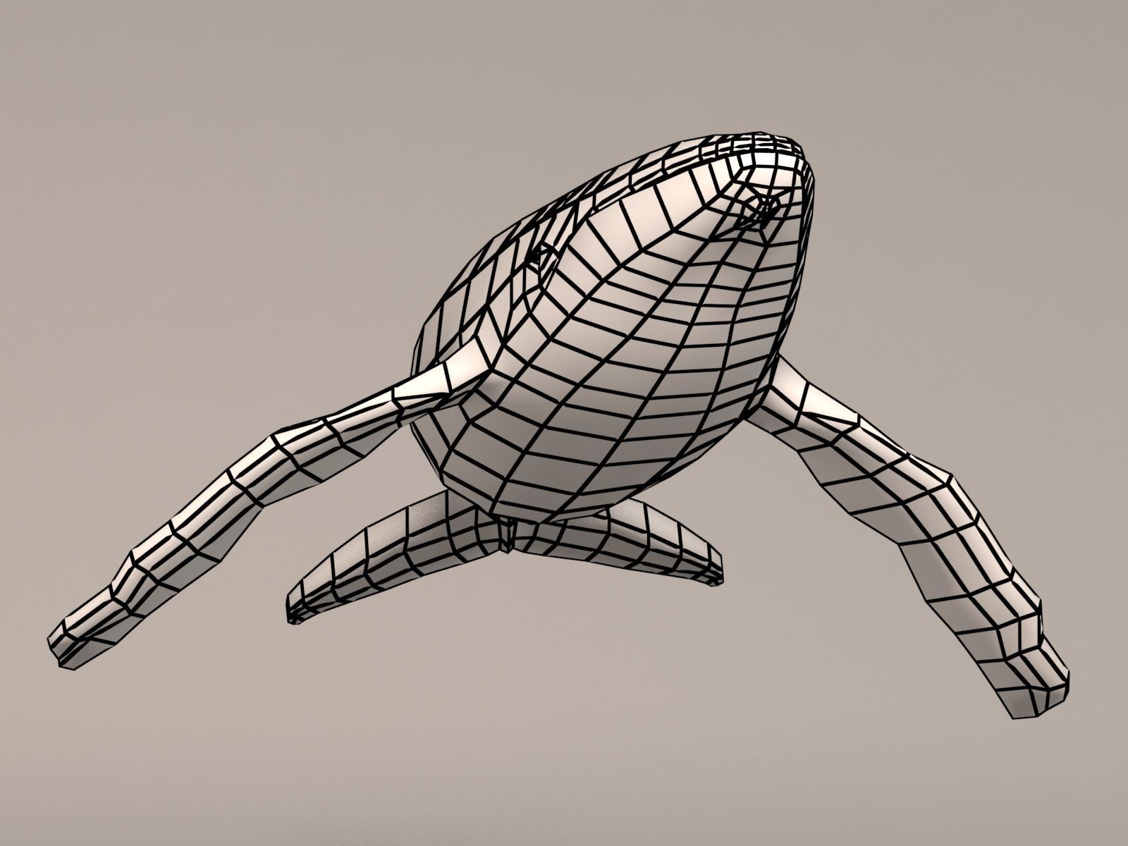 Humpback Whale Low-poly 3D model_12