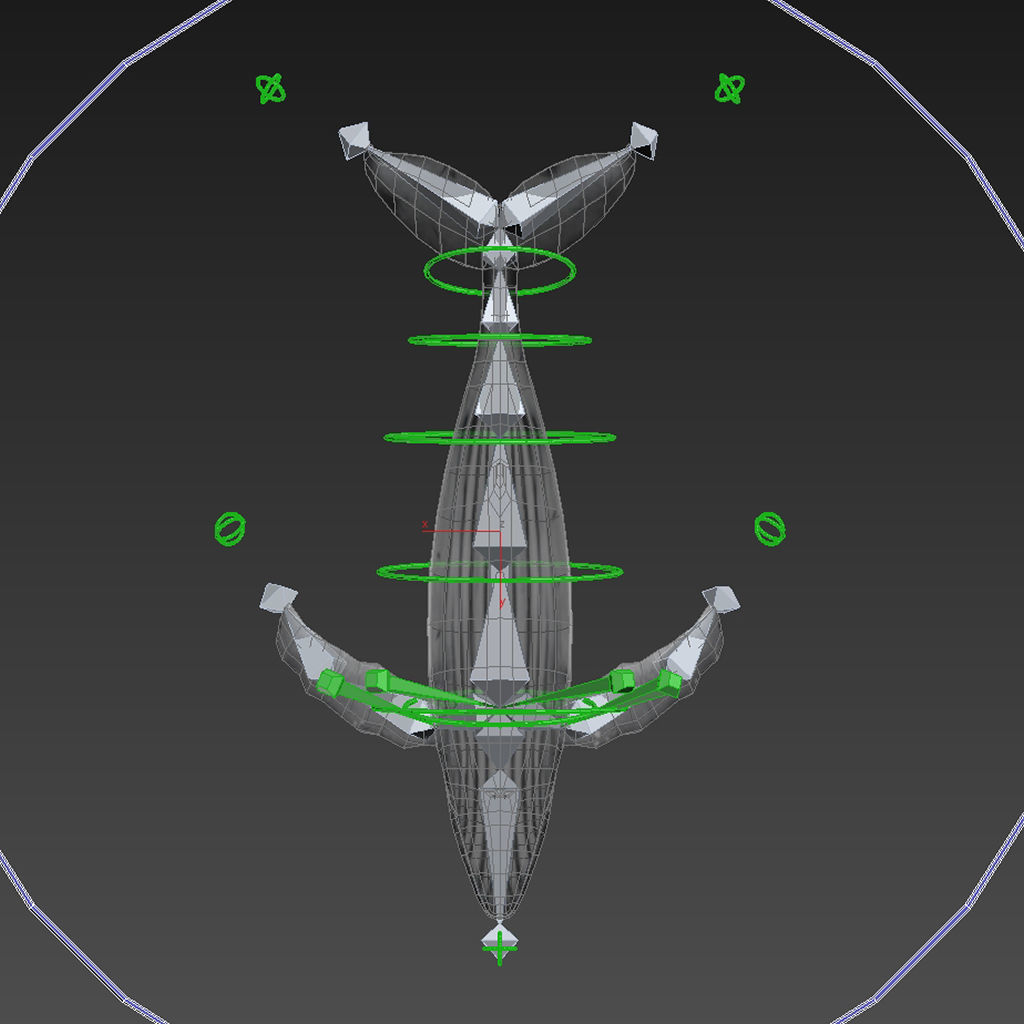 Humpback Whale Low-poly 3D model_11