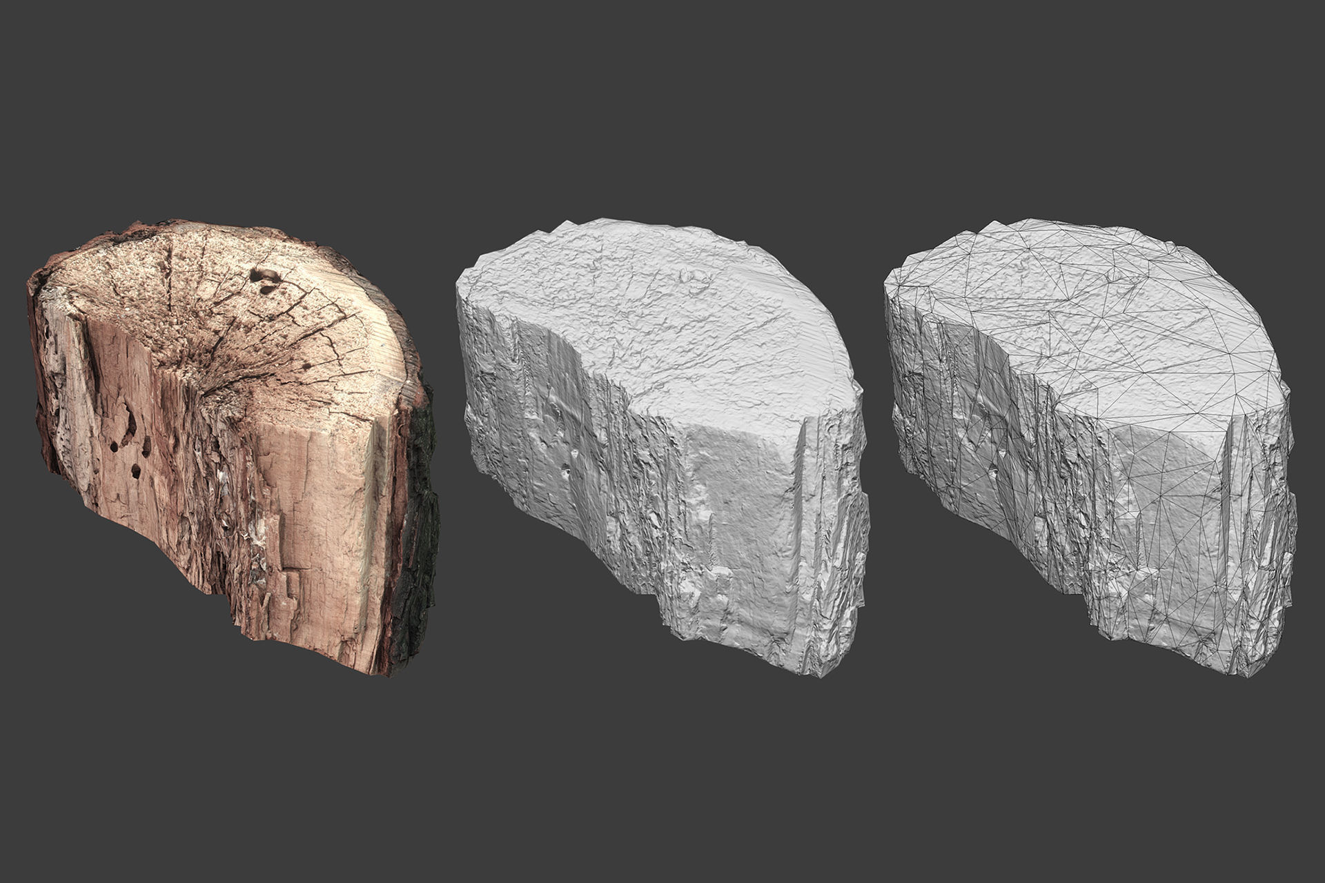 Scanned Logs Planks Sticks and Stumps Low-poly 3D model_32