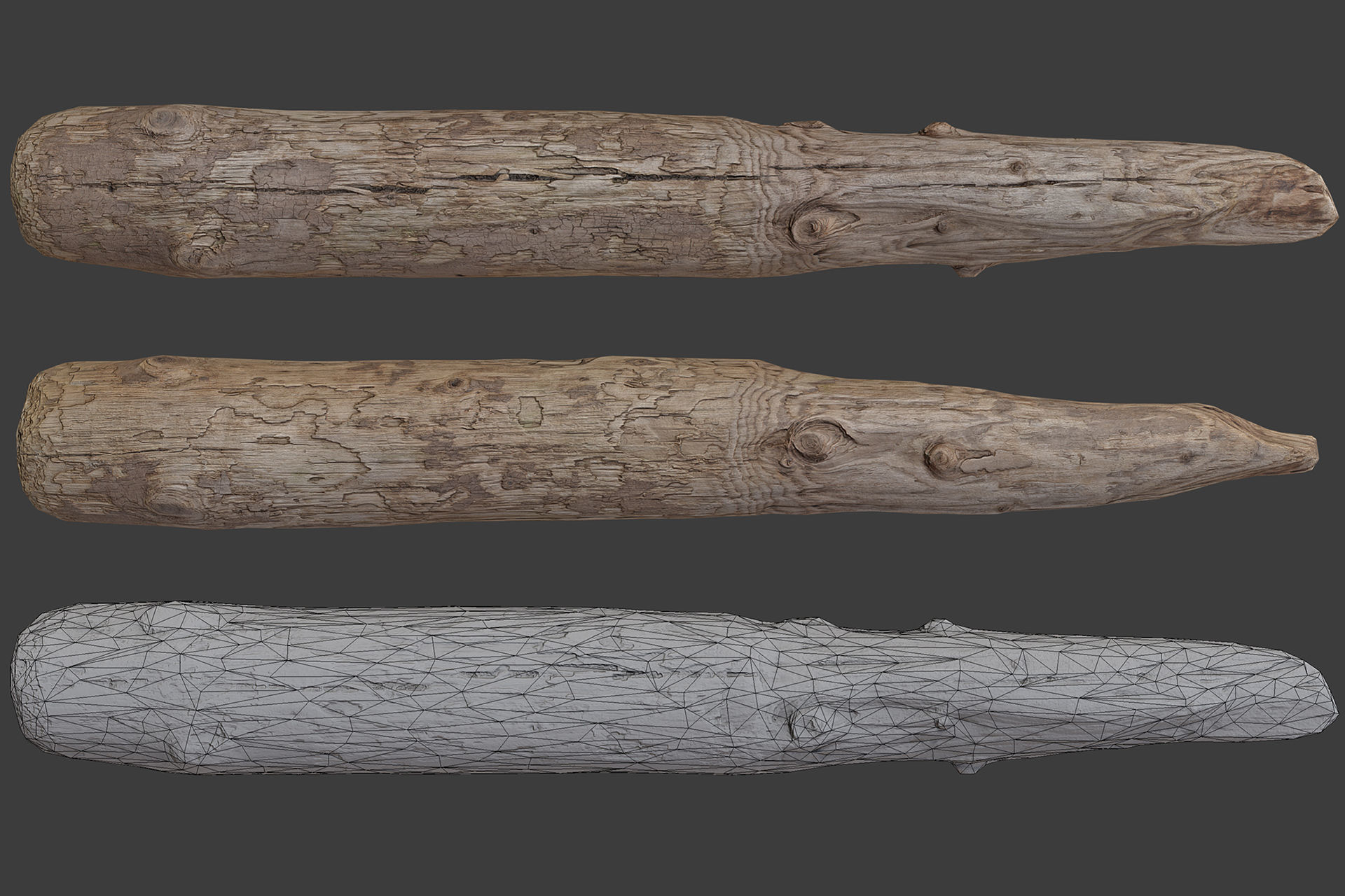 Scanned Logs Planks Sticks and Stumps Low-poly 3D model_11