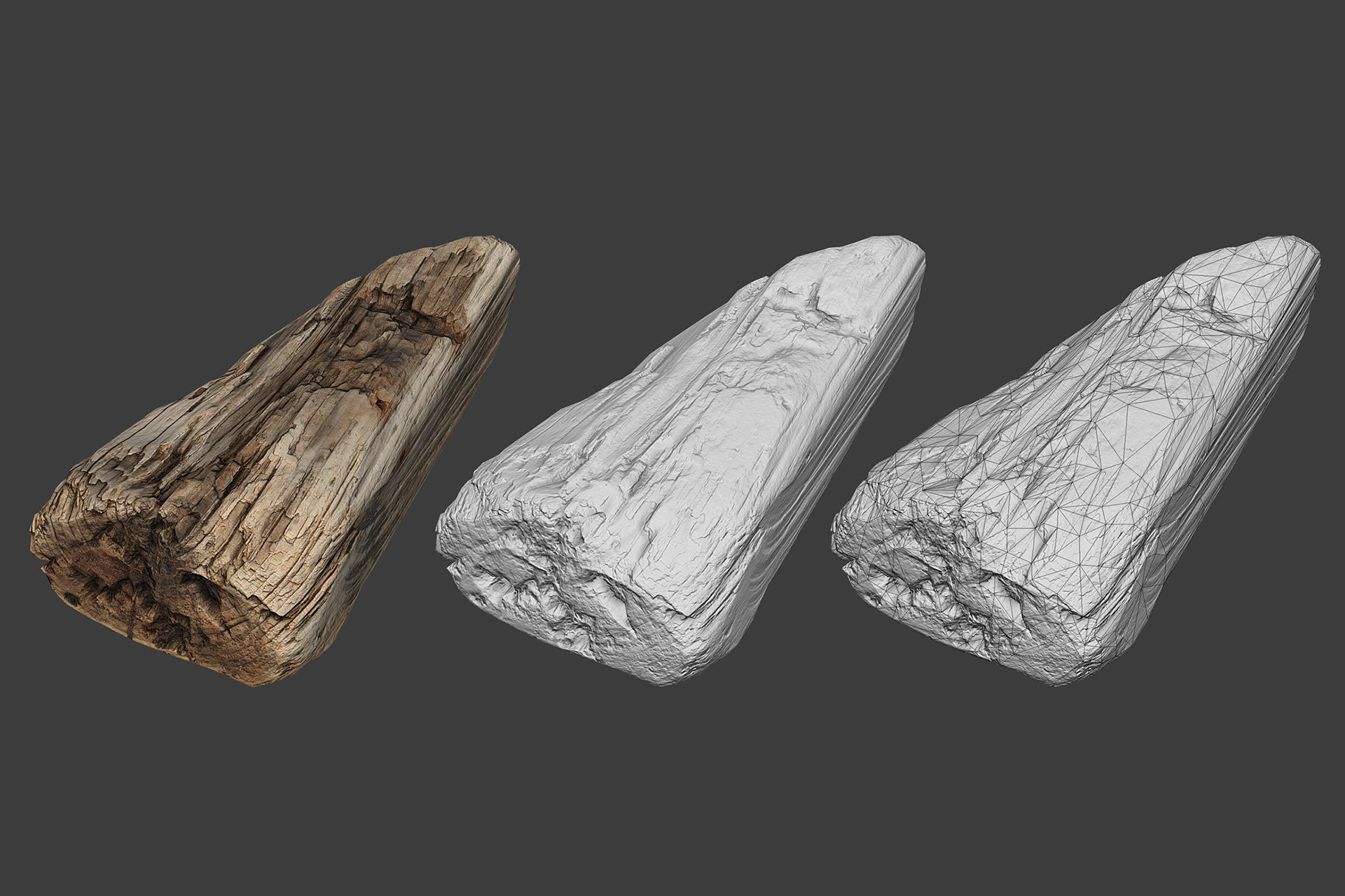 Scanned Logs Planks Sticks and Stumps Low-poly 3D model_37