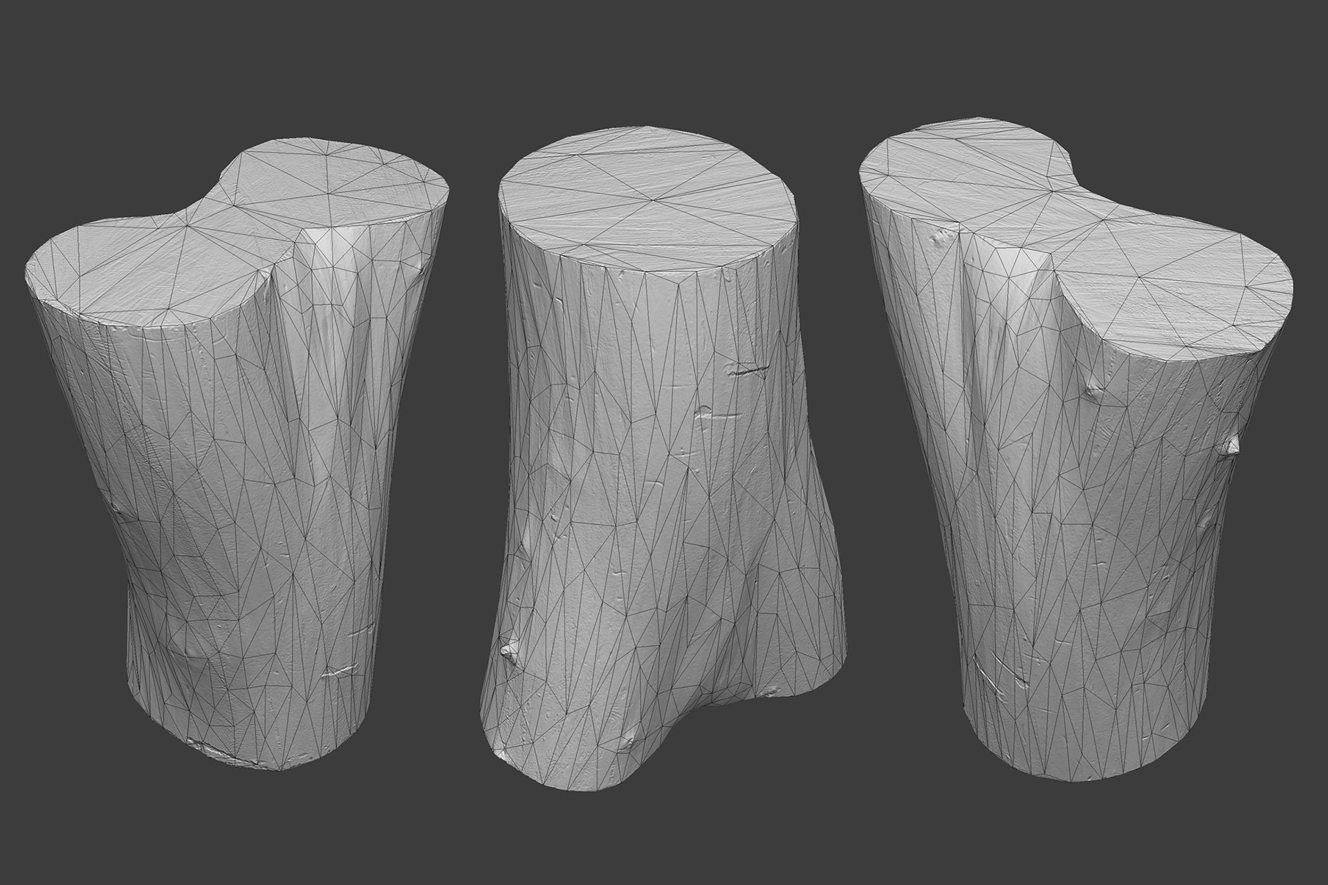 Scanned Logs Planks Sticks and Stumps Low-poly 3D model_27