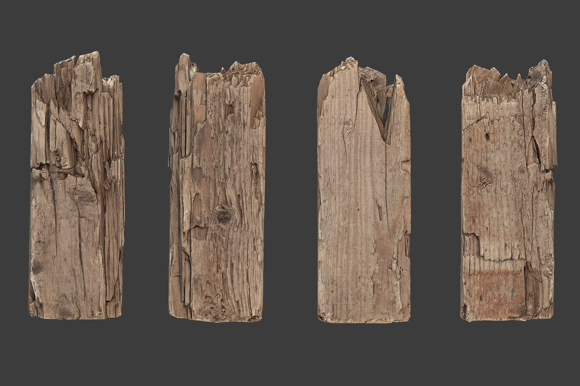 Scanned Logs Planks Sticks and Stumps Low-poly 3D model_20