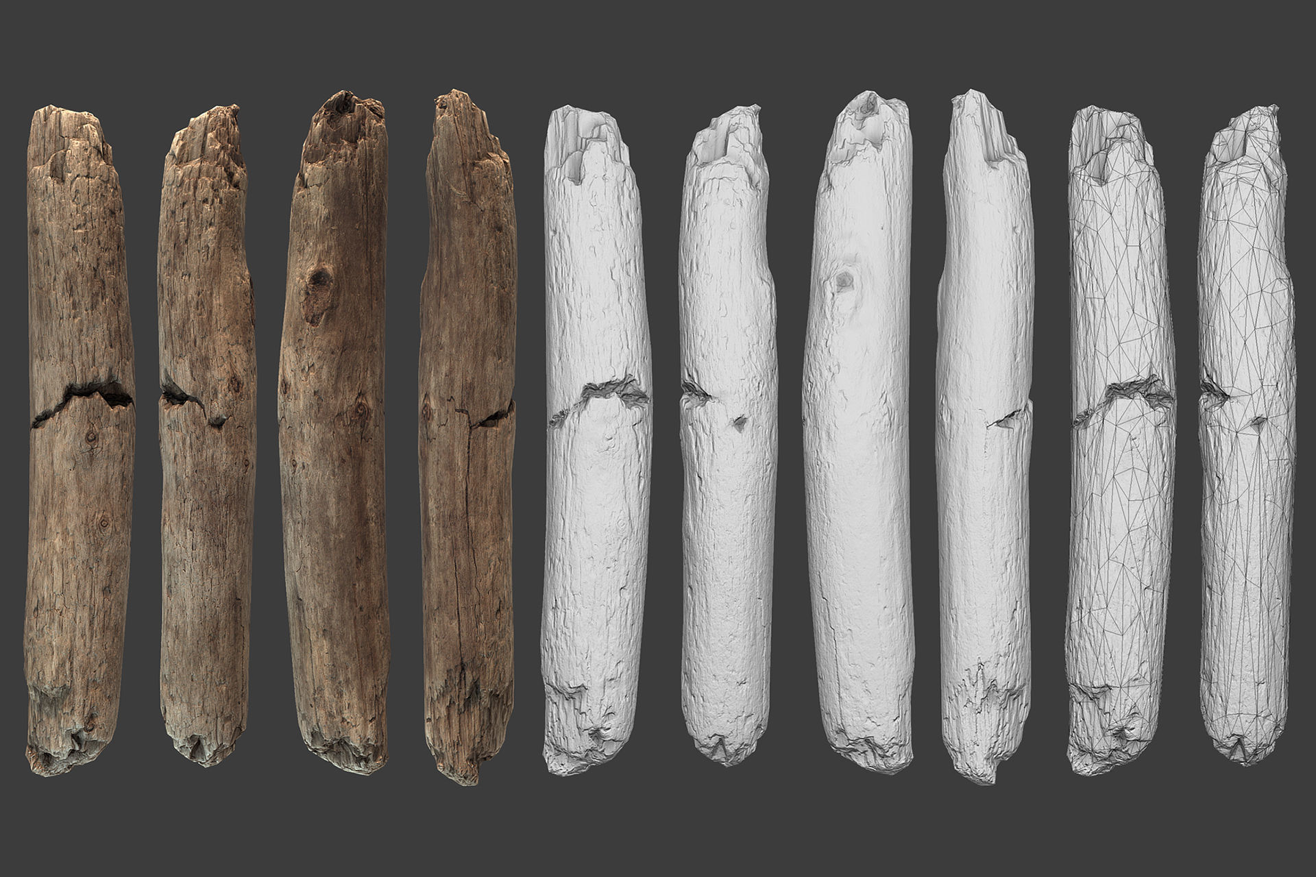 Scanned Logs Planks Sticks and Stumps Low-poly 3D model_39