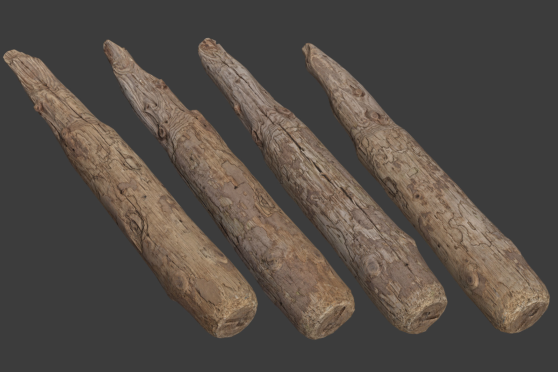 Scanned Logs Planks Sticks and Stumps Low-poly 3D model_15