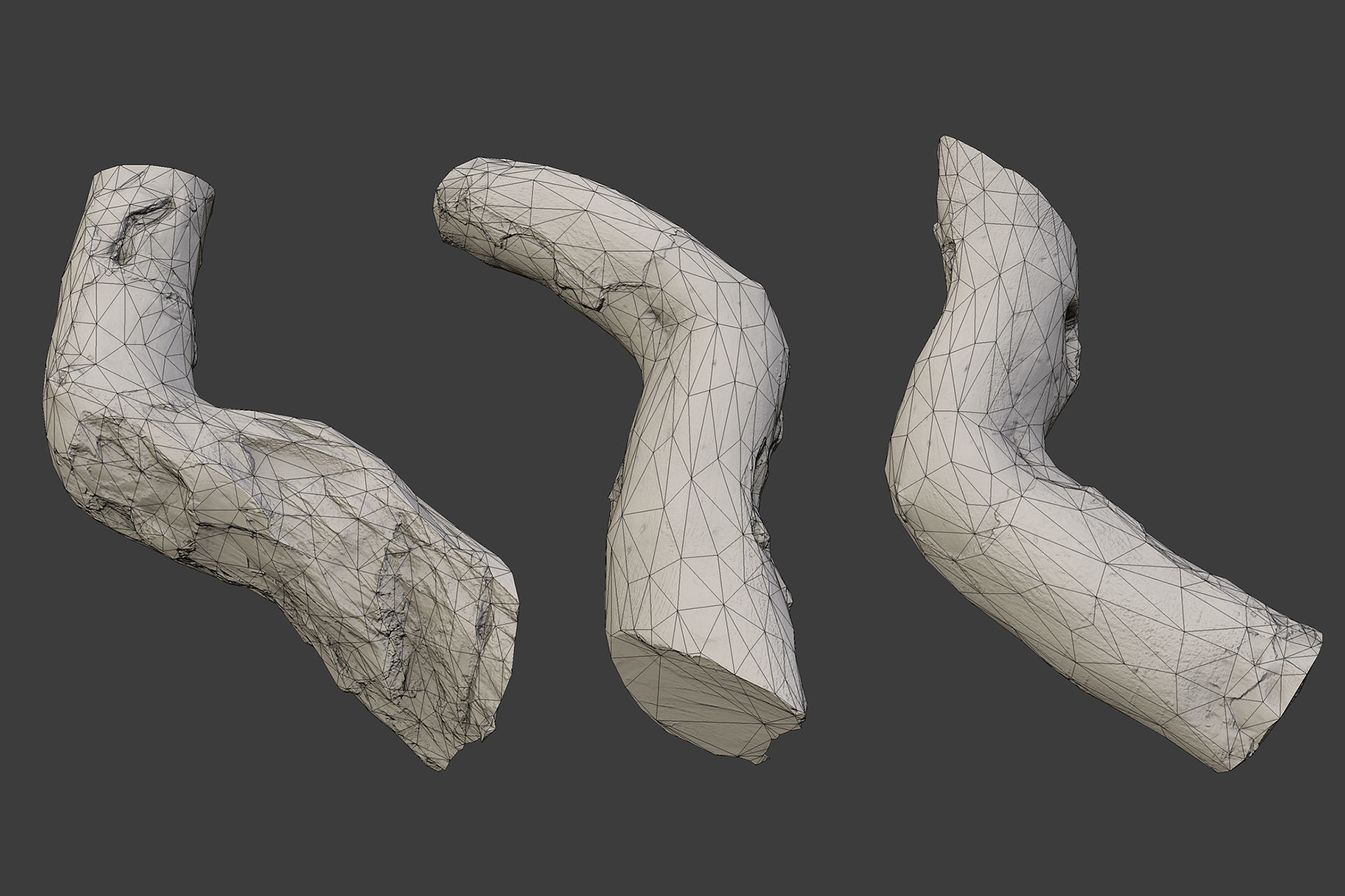 Scanned Logs Planks Sticks and Stumps Low-poly 3D model_9