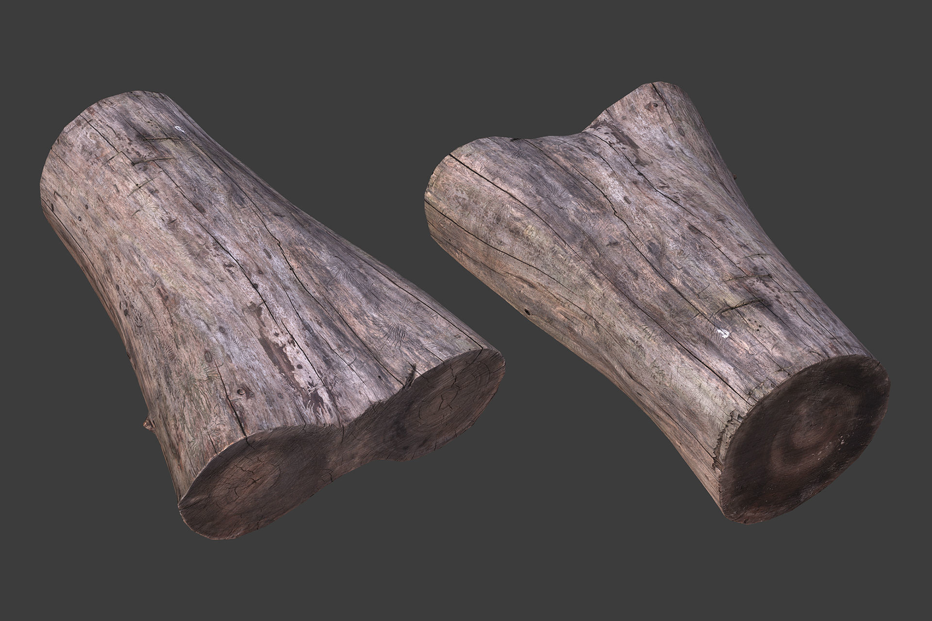 Scanned Logs Planks Sticks and Stumps Low-poly 3D model_24